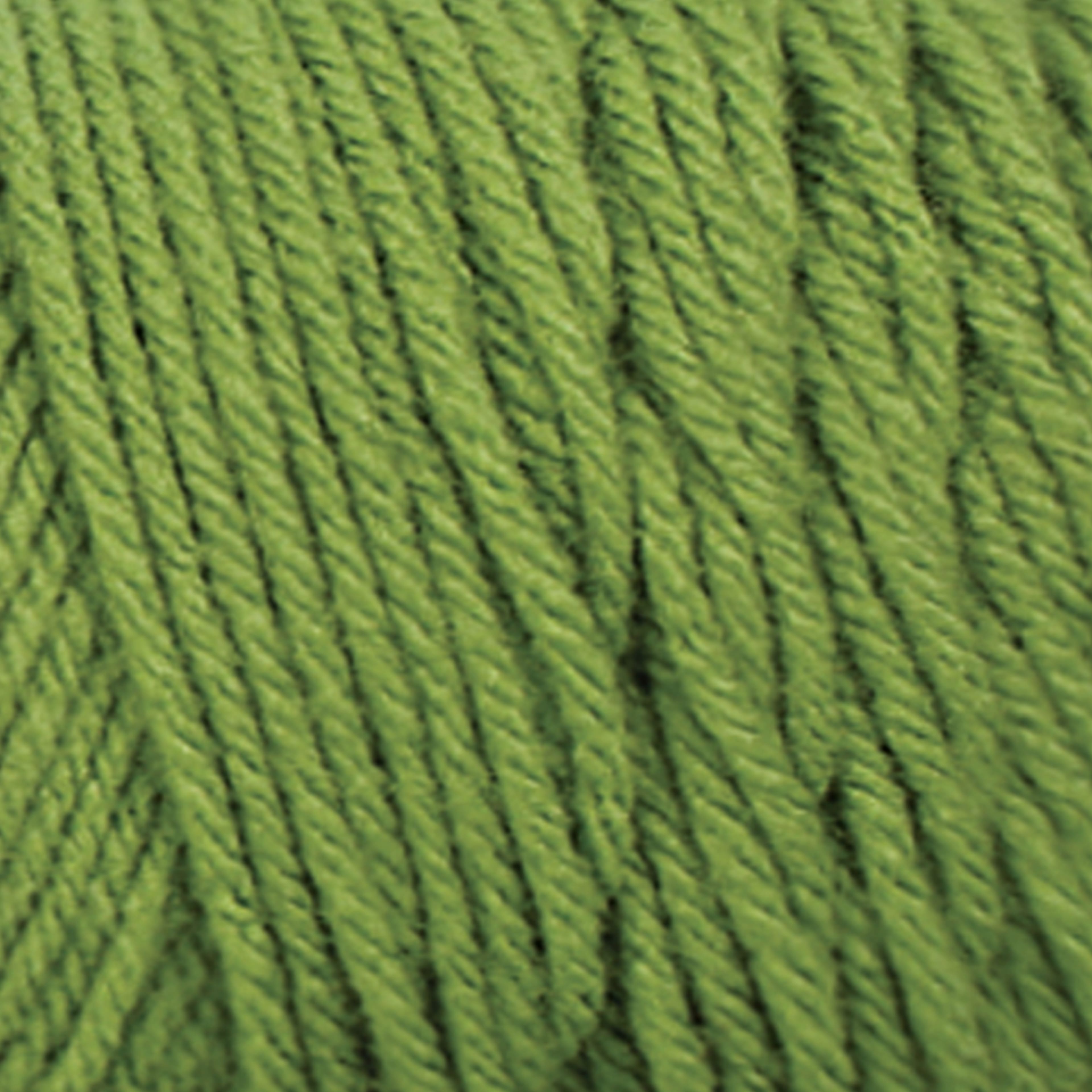 Big Twist&#xAE; Value Yarn