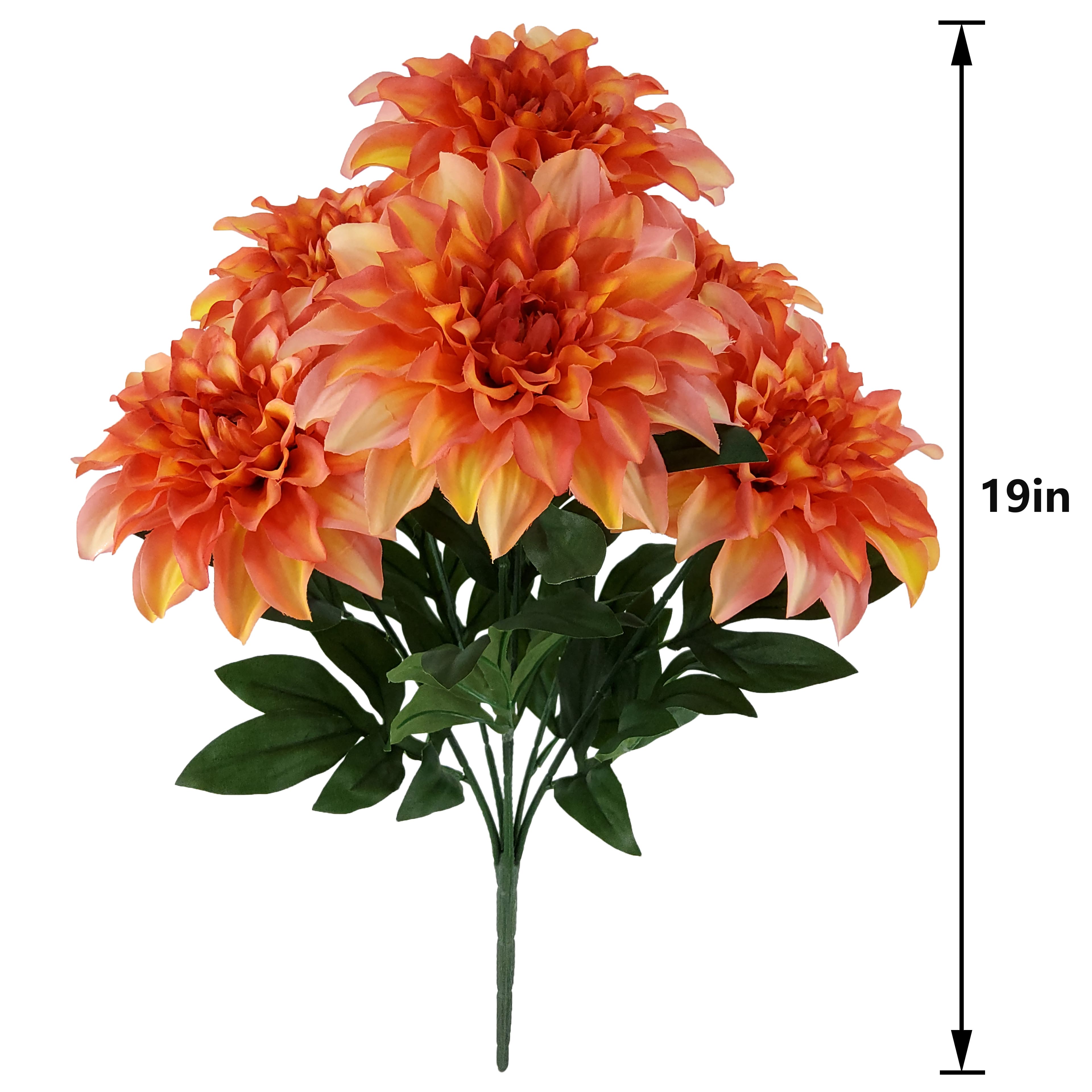 19&#x22; Dahlia Bush by Ashland&#xAE;