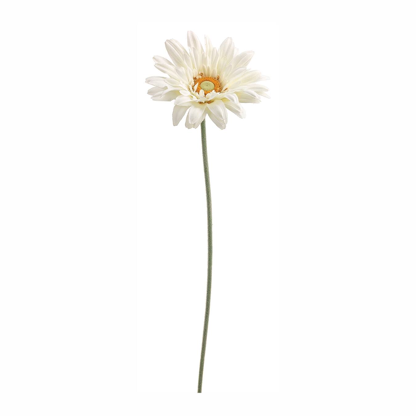 White Royal Gerbera Daisy Stem Michaels