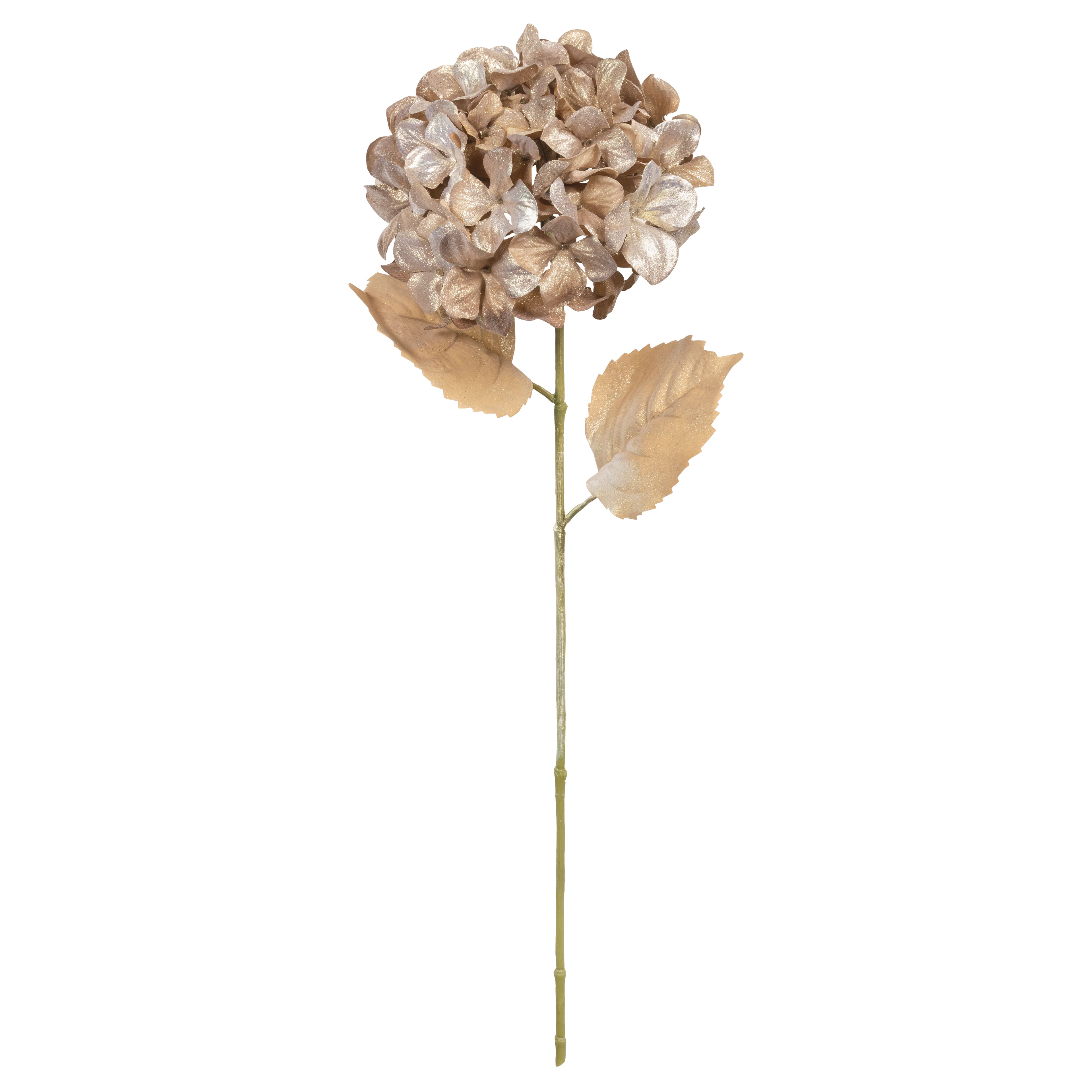 27&#x22; Champagne Hydrangea Stem by Ashland&#xAE;
