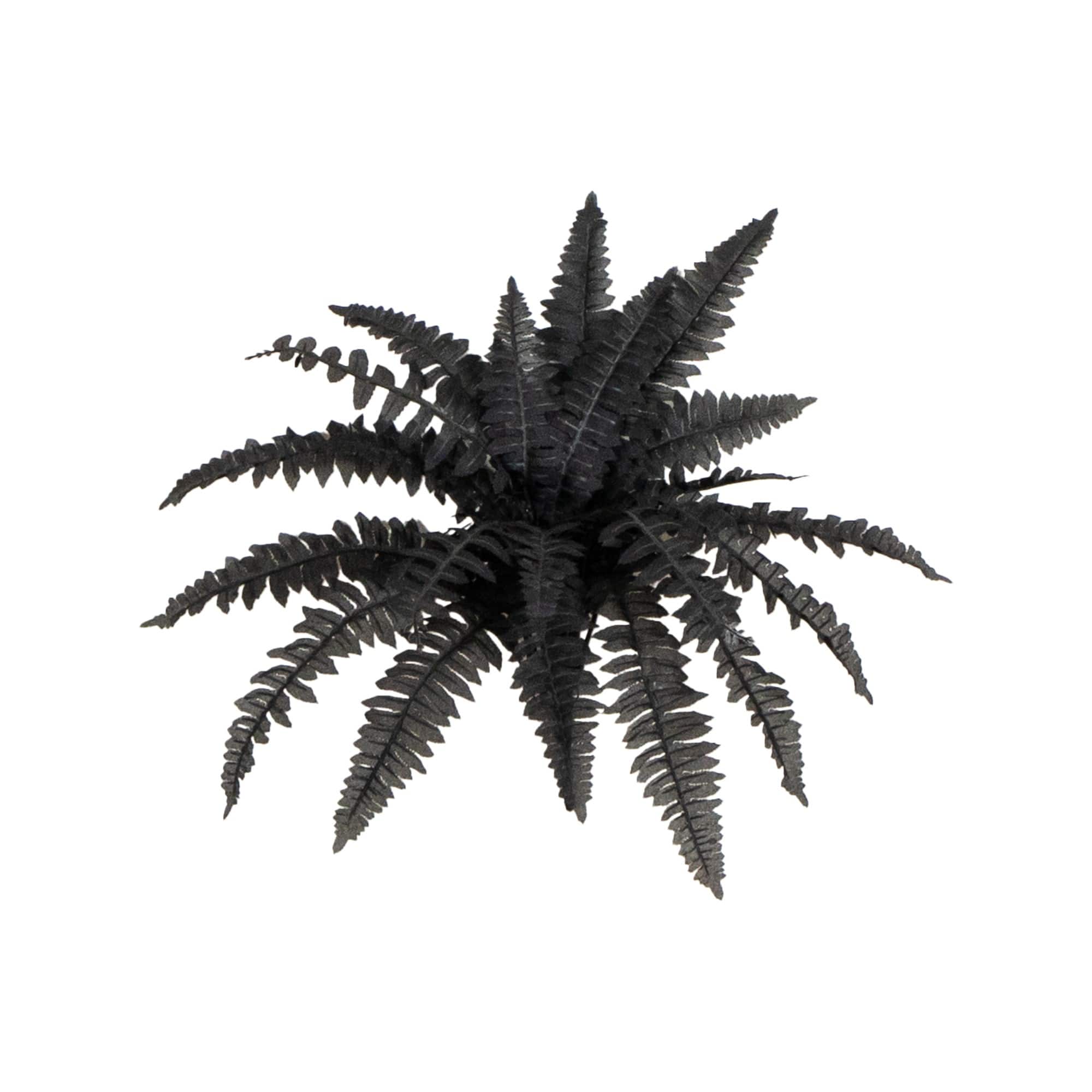 19in. Artificial Halloween Black Boston Fern - Set of 6
