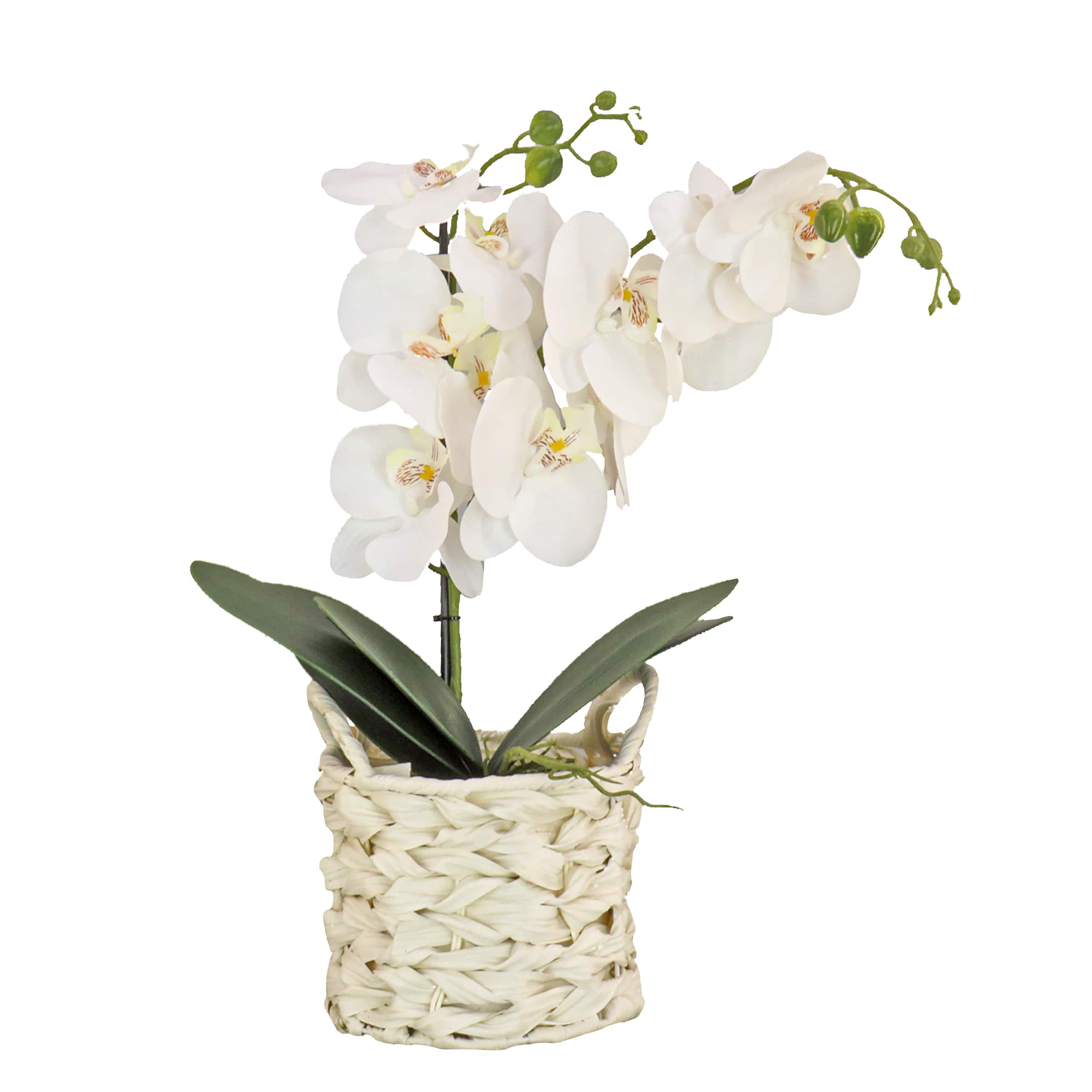 21" Pink Orchid Flower In White Basket