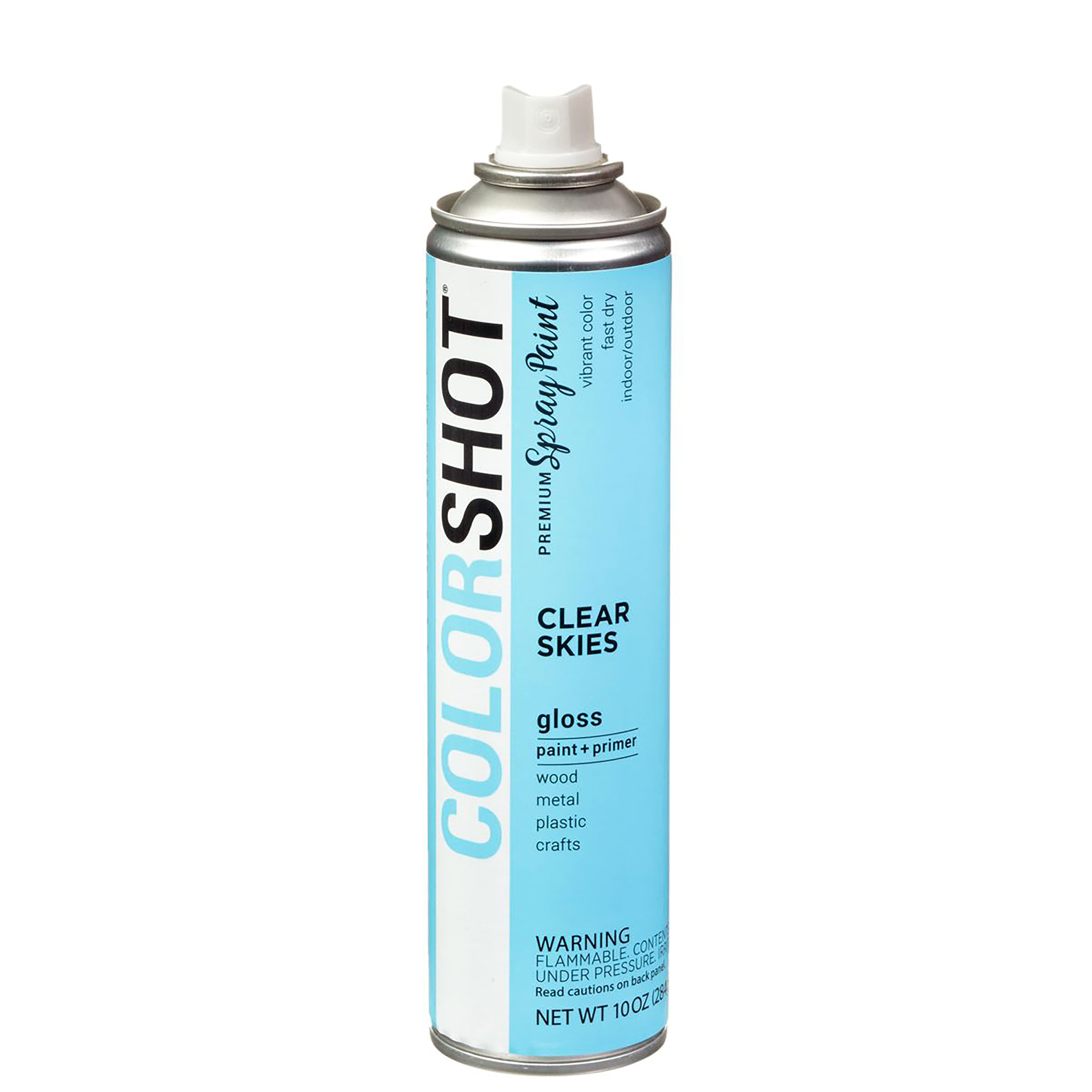 COLORSHOT&#xAE; Premium Gloss Spray Paint