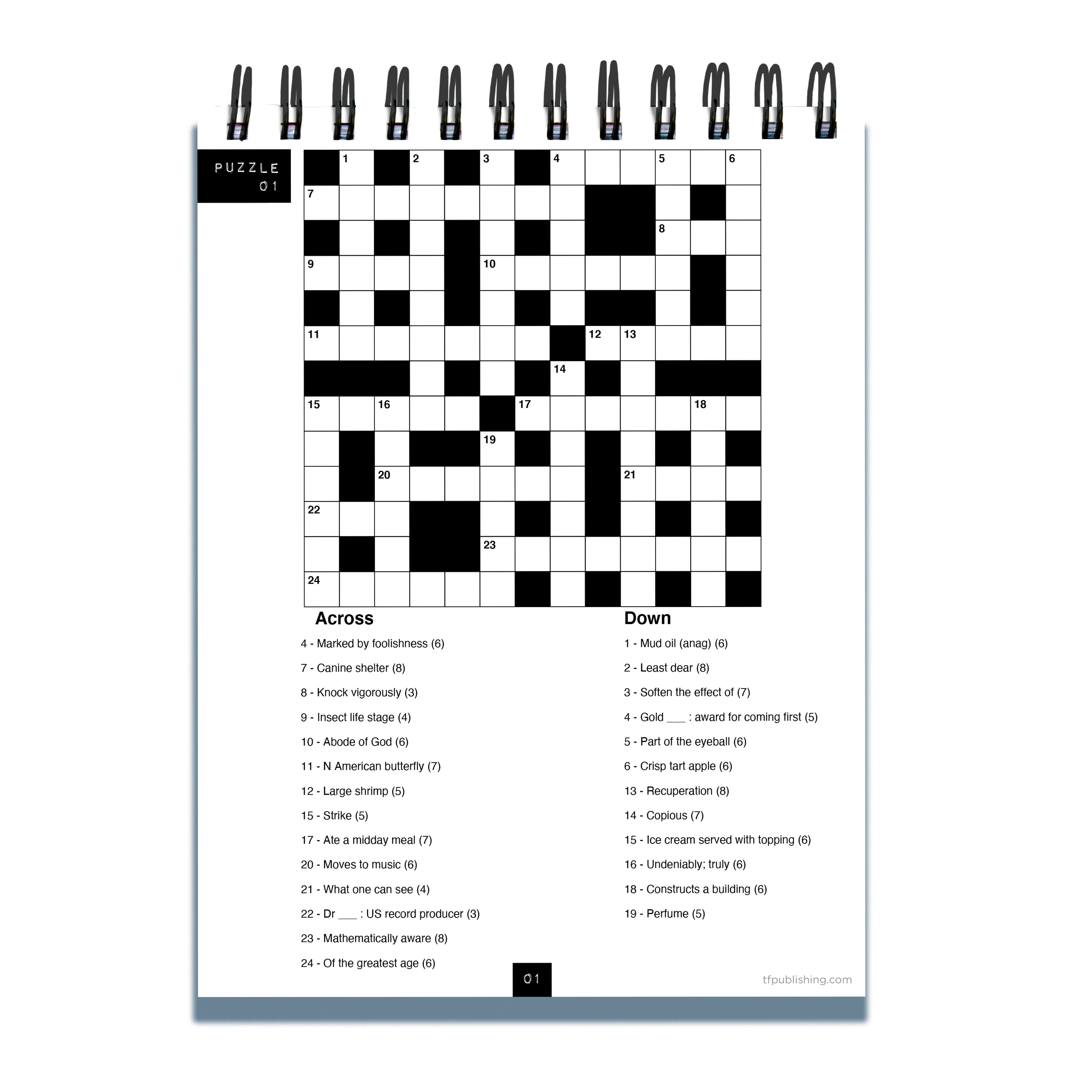 TF Publishing #StayatHome Crossword Puzzle Book Spiral Puzzle Pad