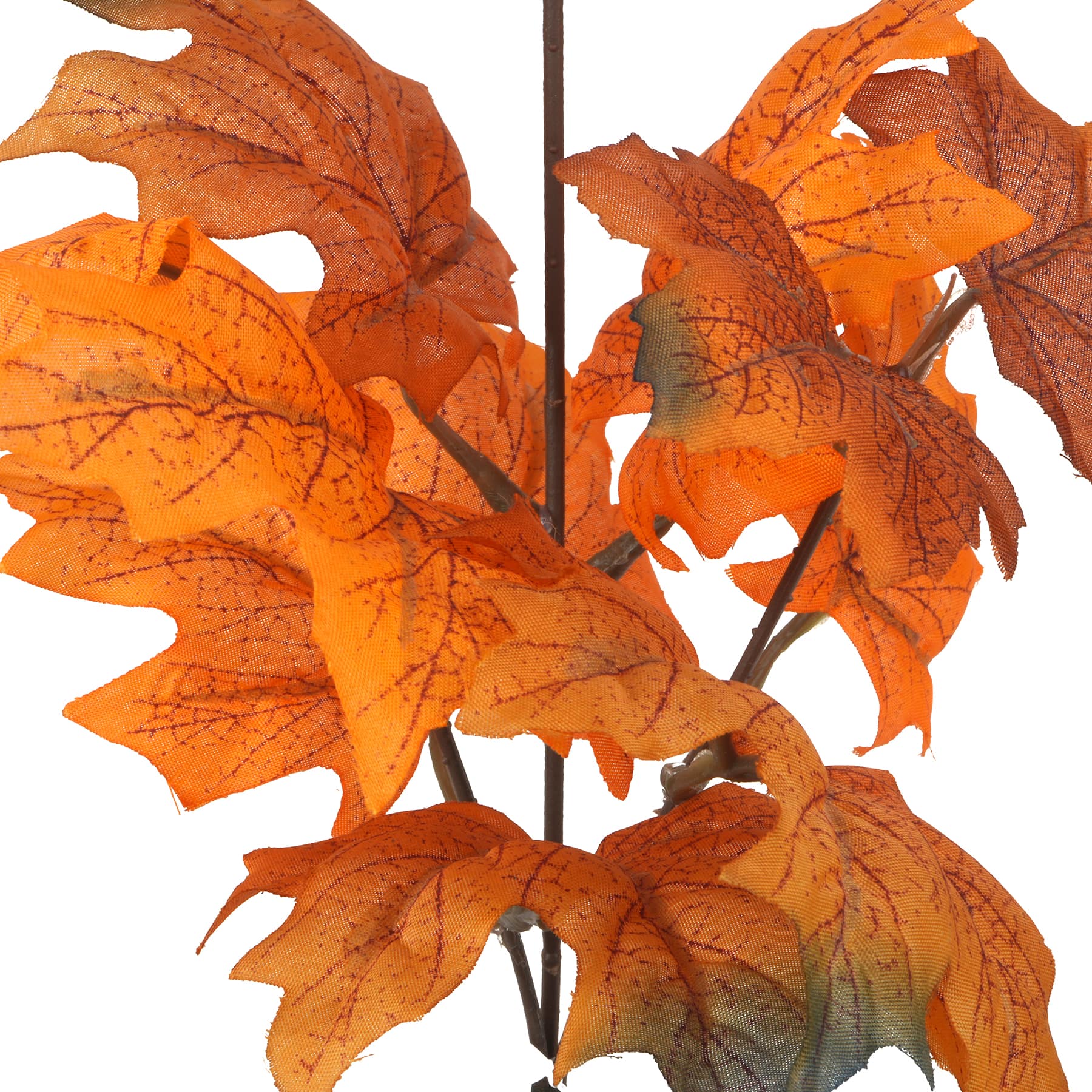 10.5&#x22; Mini Maple Leaf Bundle by Ashland&#xAE;