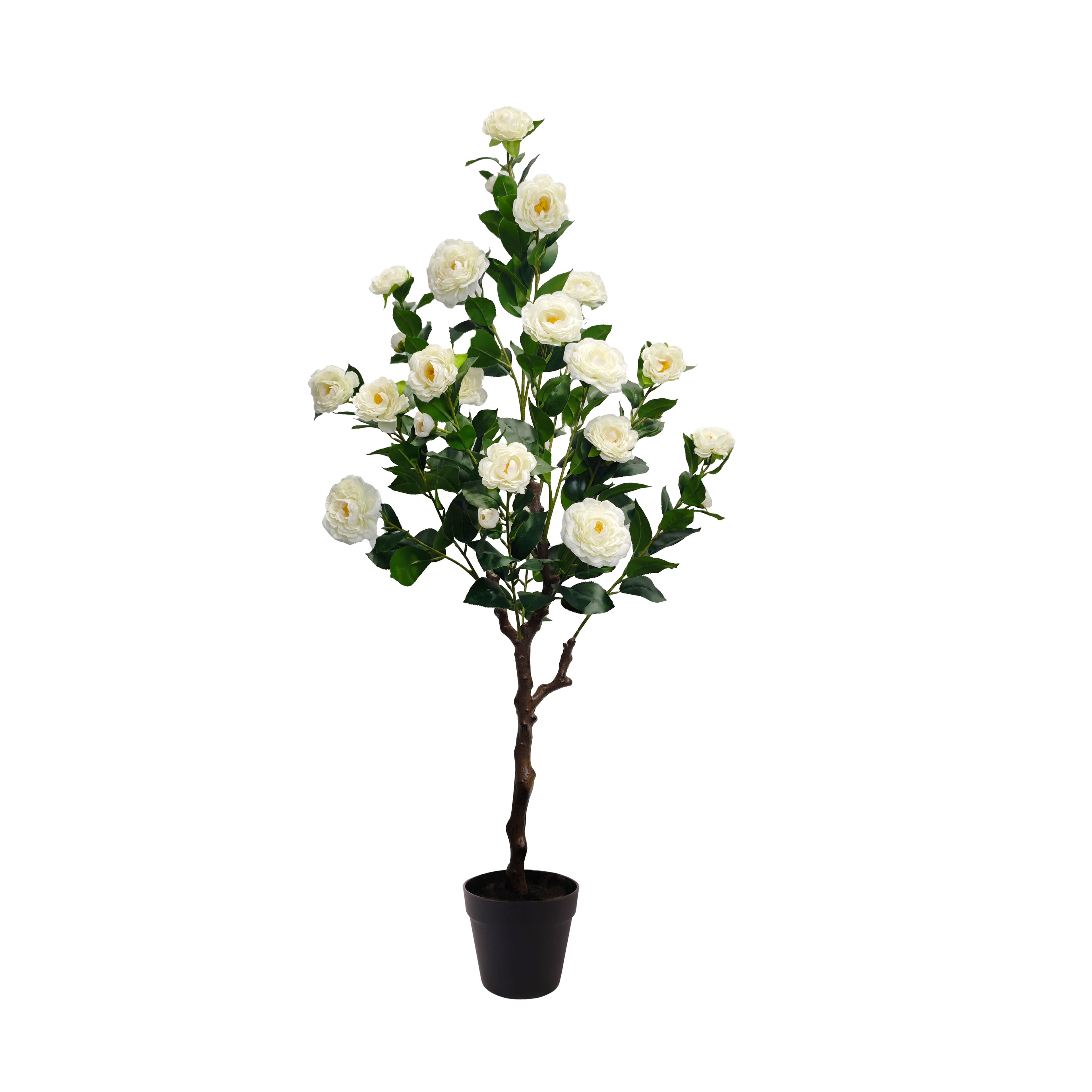 4ft. Potted Cream Camellia Tree by Ashland®