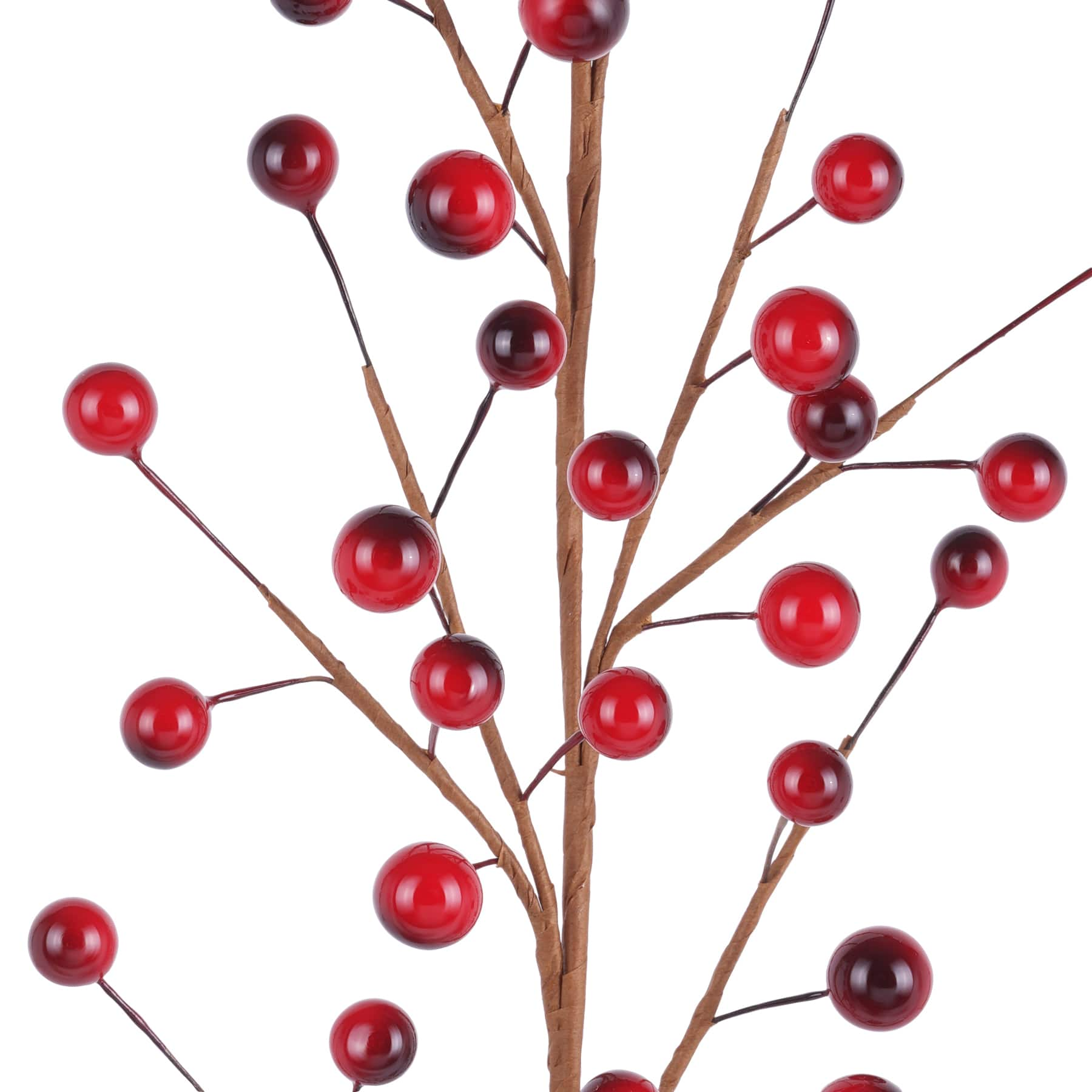 Dark Red Berry Stem by Ashland&#xAE;