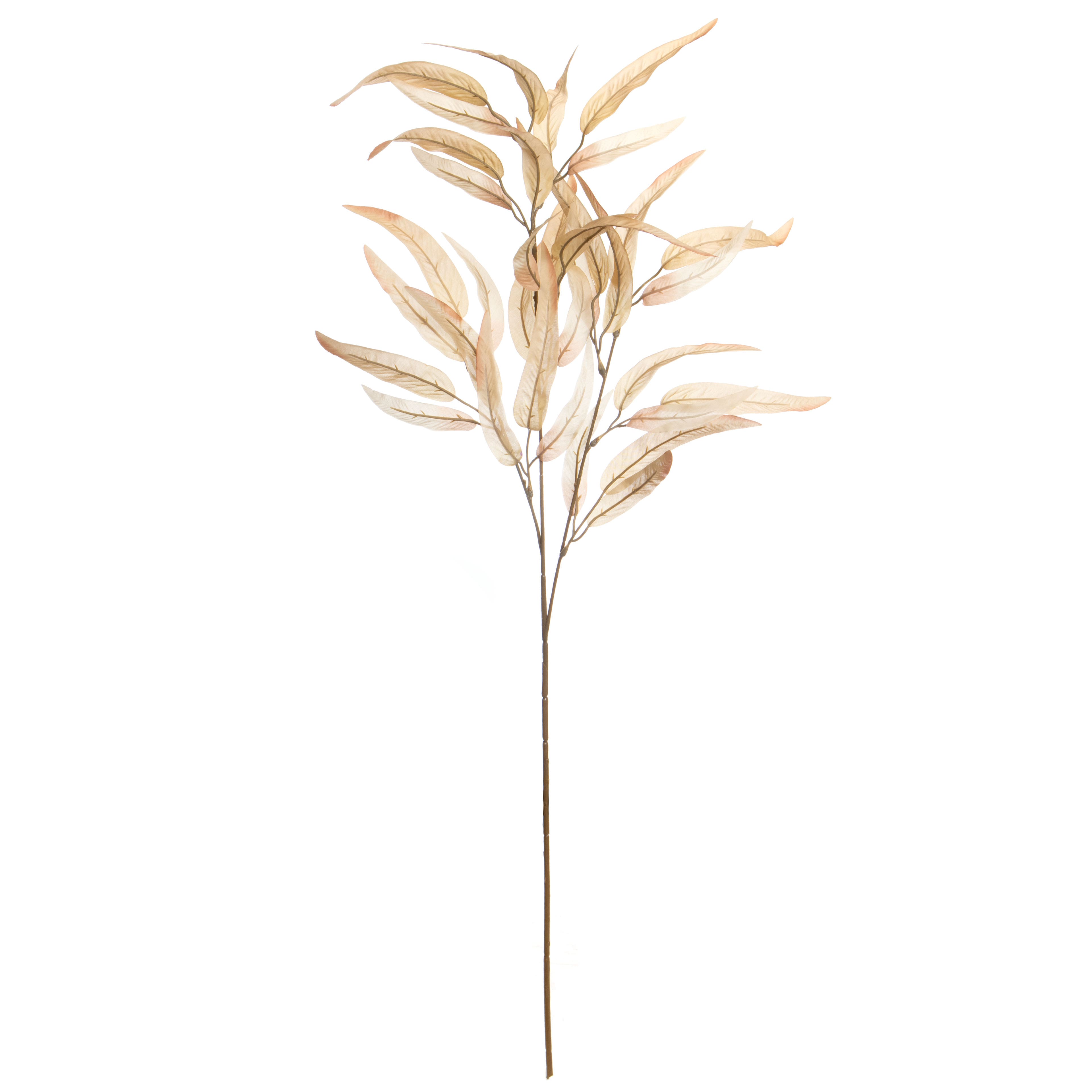 39&#x22; Cream Long Leaf Eucalyptus Stem by Ashland&#xAE;