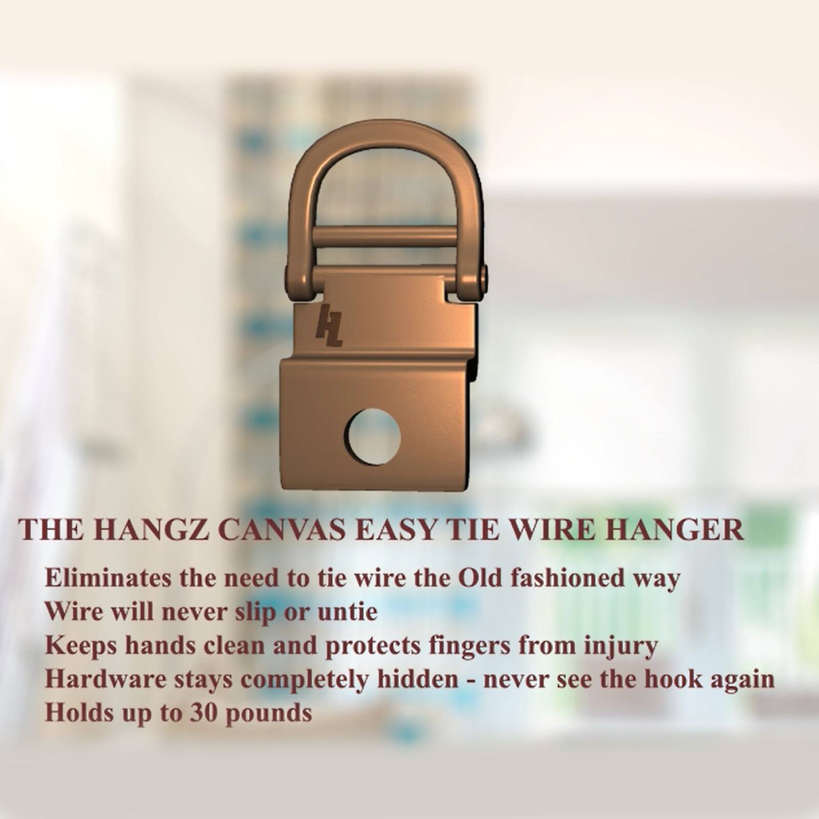 HangZ&#x2122; 25lb. Canvas Wire 1 Hole D Ring Kit