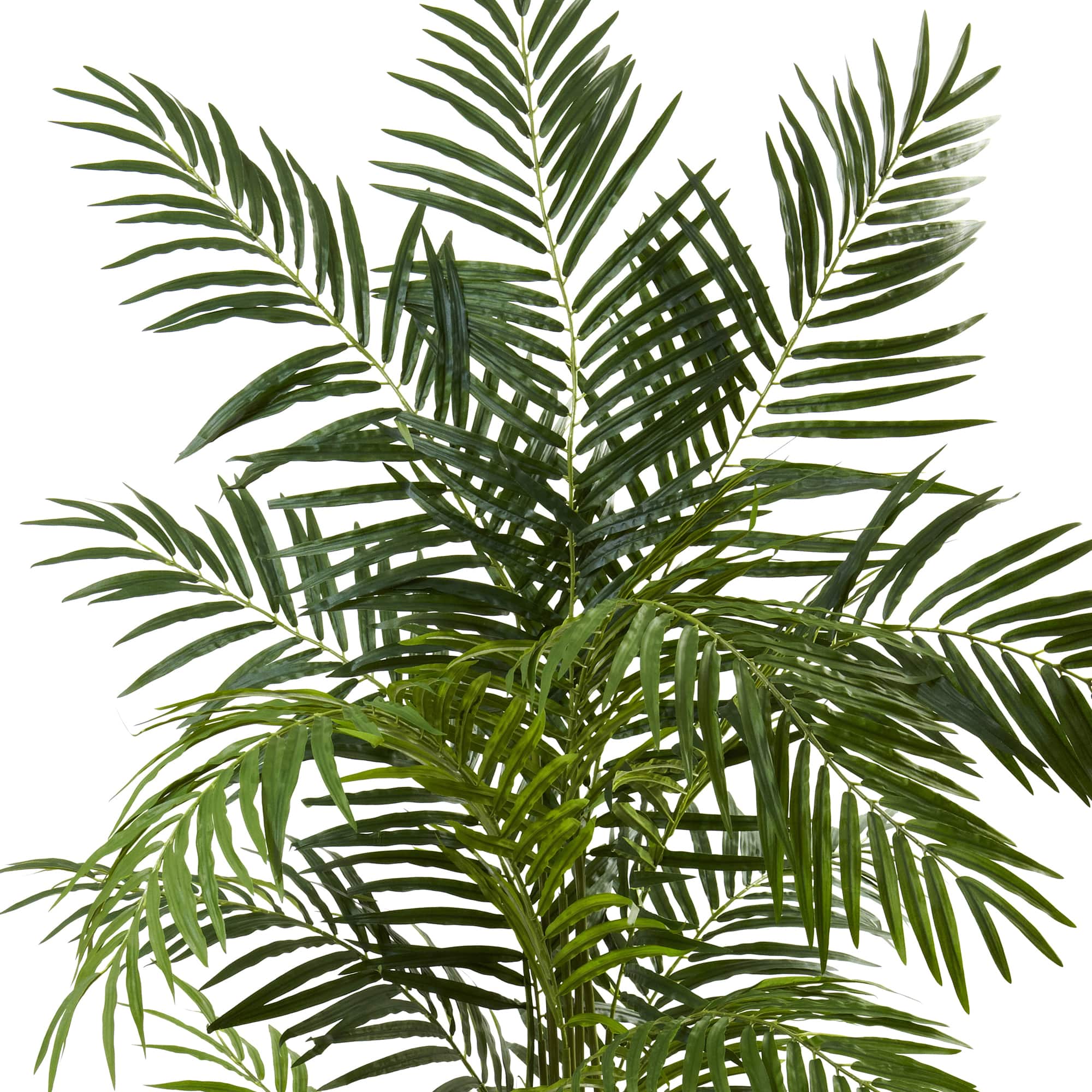 6ft. Potted Green Areca Palm Tree