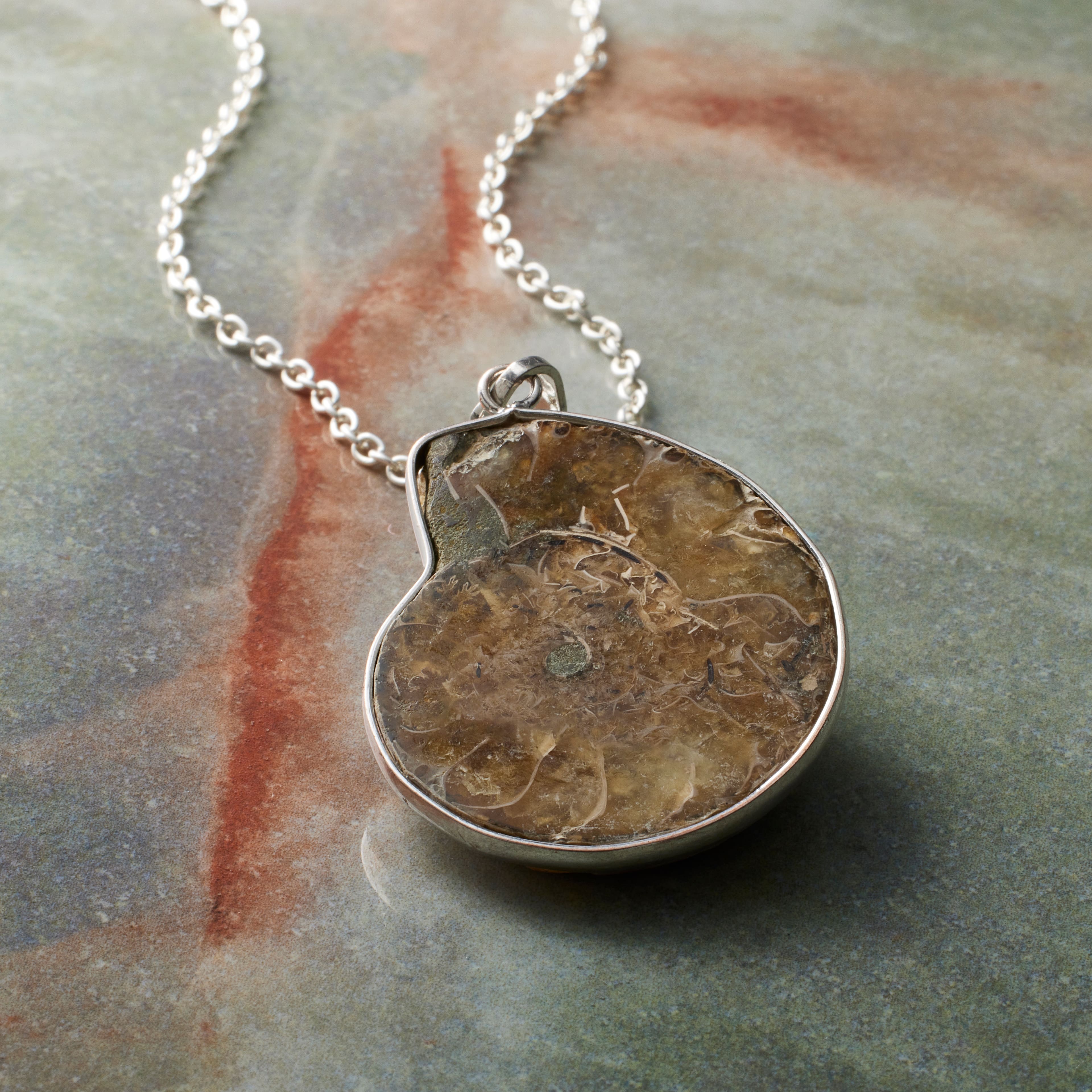 6 Pack: Fossil Shell Pendant by Bead Landing™
