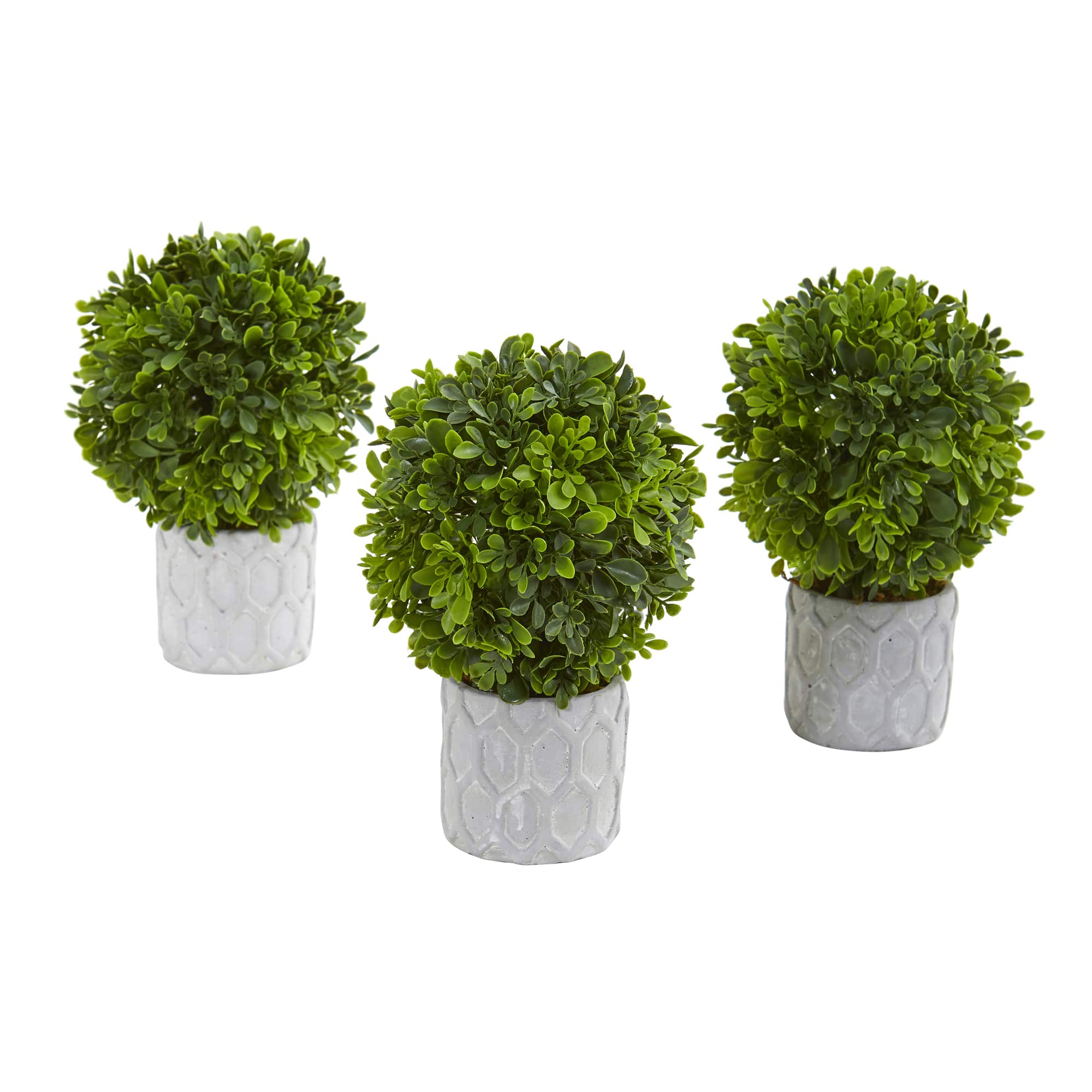 9&#x22; Potted Boxwood Mini Topiary, 3ct.