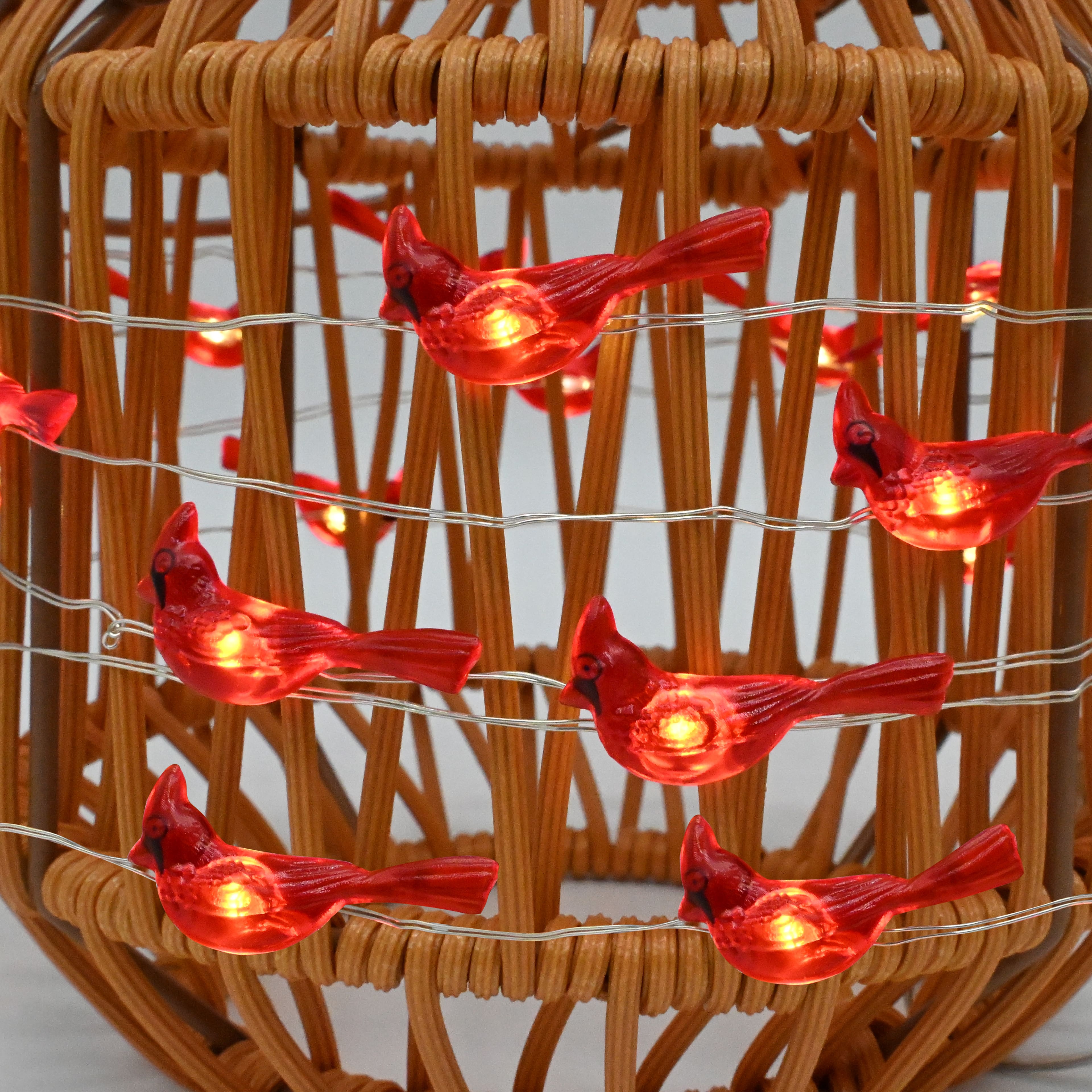 18ct. Warm White LED Cardinal String Lights on Silver Wire by Ashland®