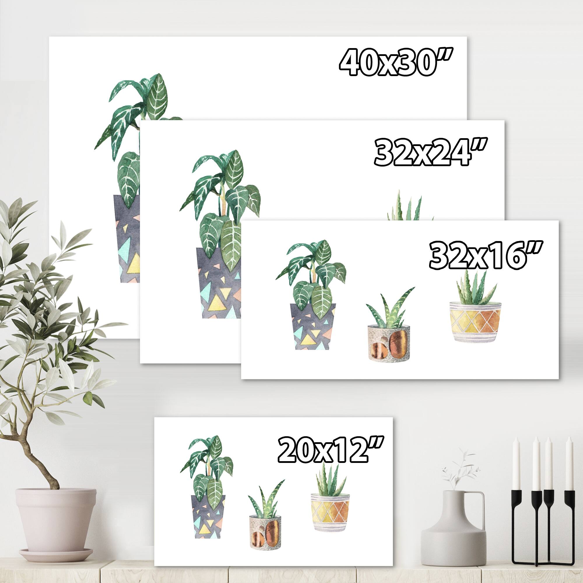 Designart - Three Potted Houseplants - Traditional Canvas Wall Art Print