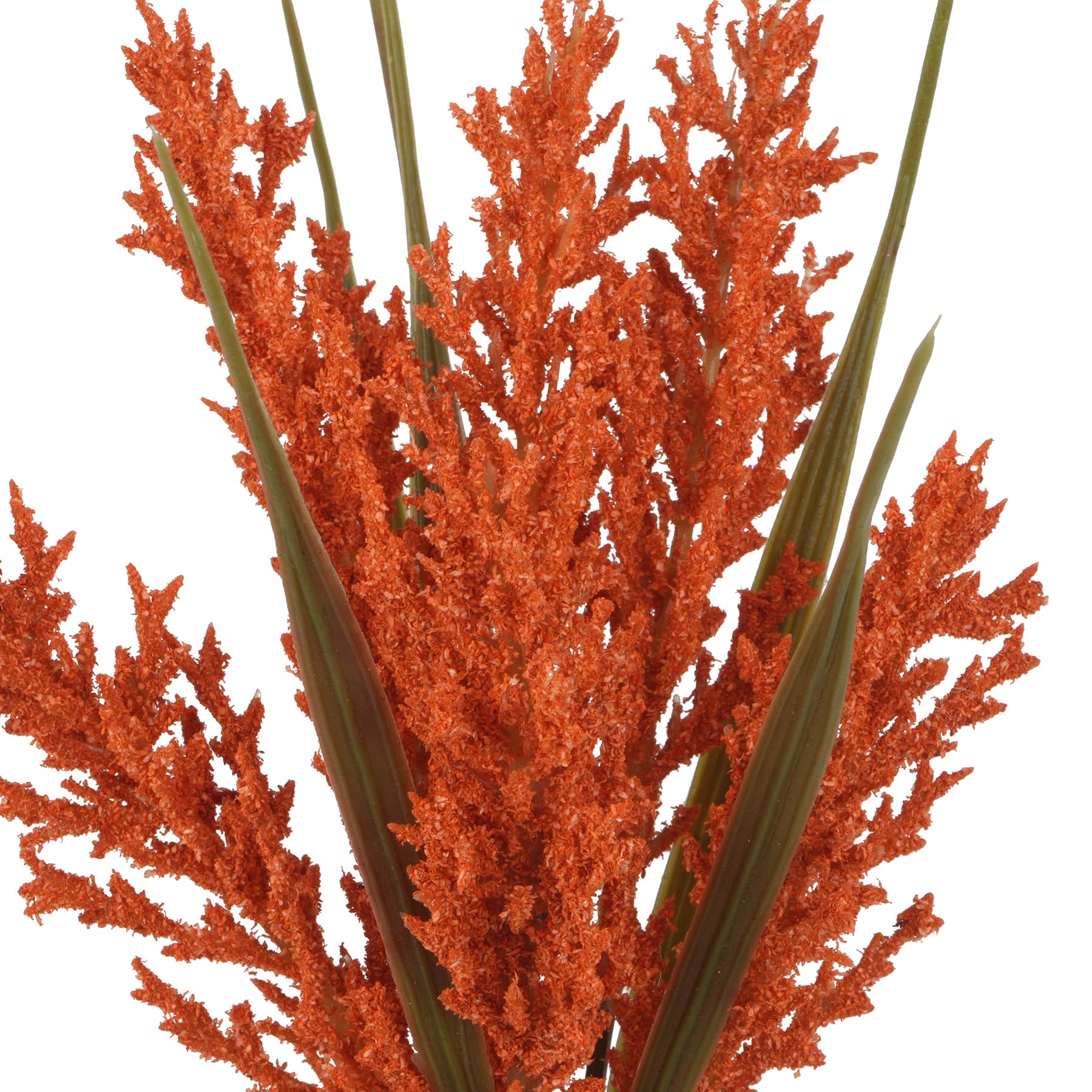 12&#x22; Mini Foxtail Bundle by Ashland&#xAE;