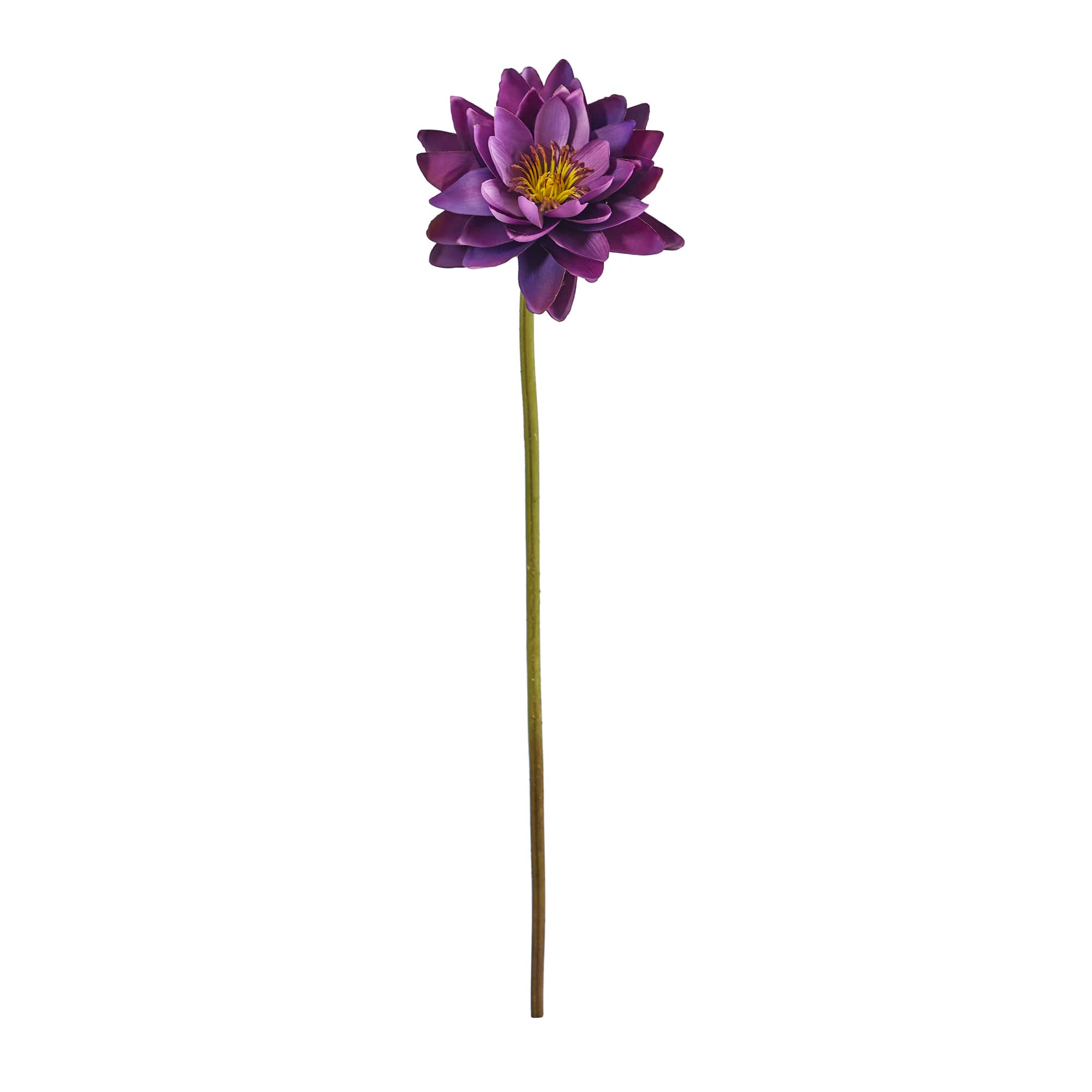 Lotus Flower Stems, 4ct.