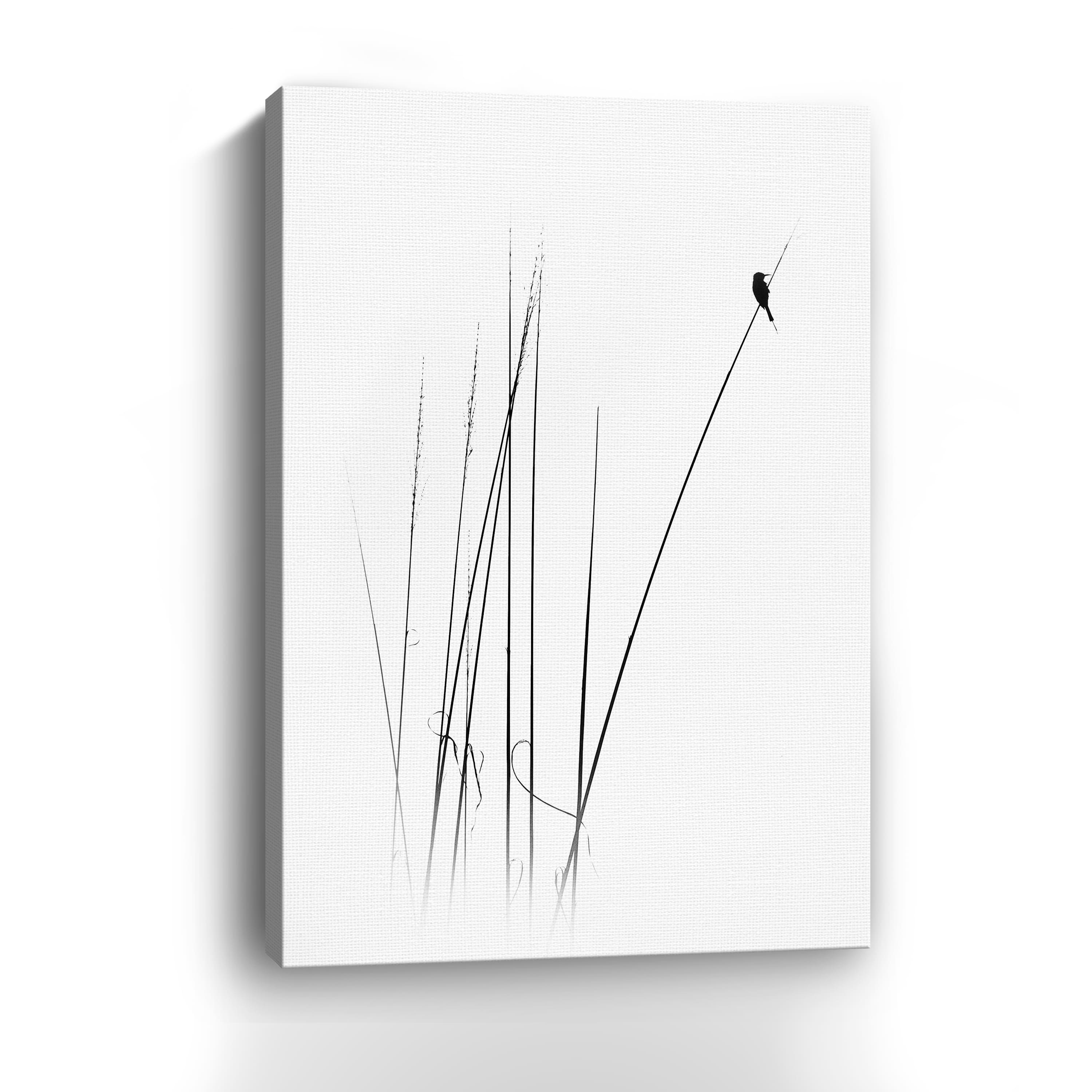 Swapnil – A Sabbatical Canvas Giclee