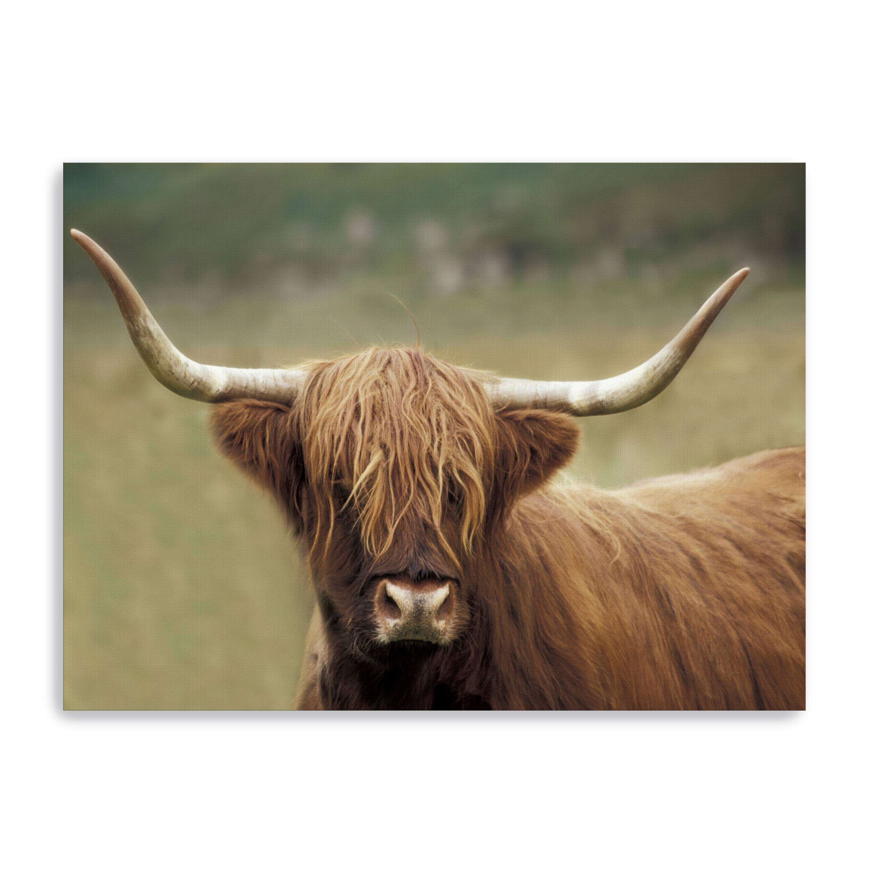 Highland Afternoon Canvas Giclee