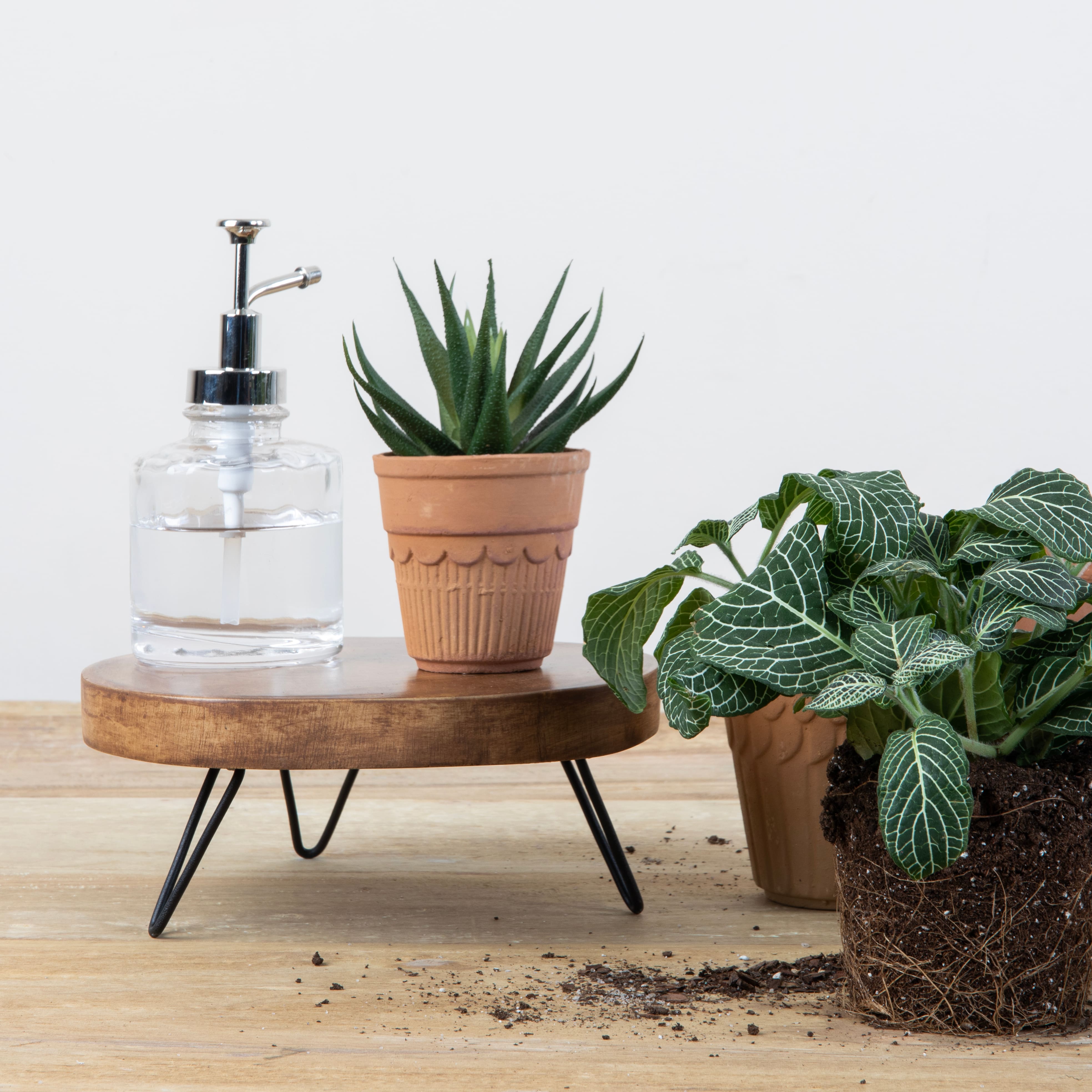 Hello Honey® Decorative Paulownia Wood Pedestal