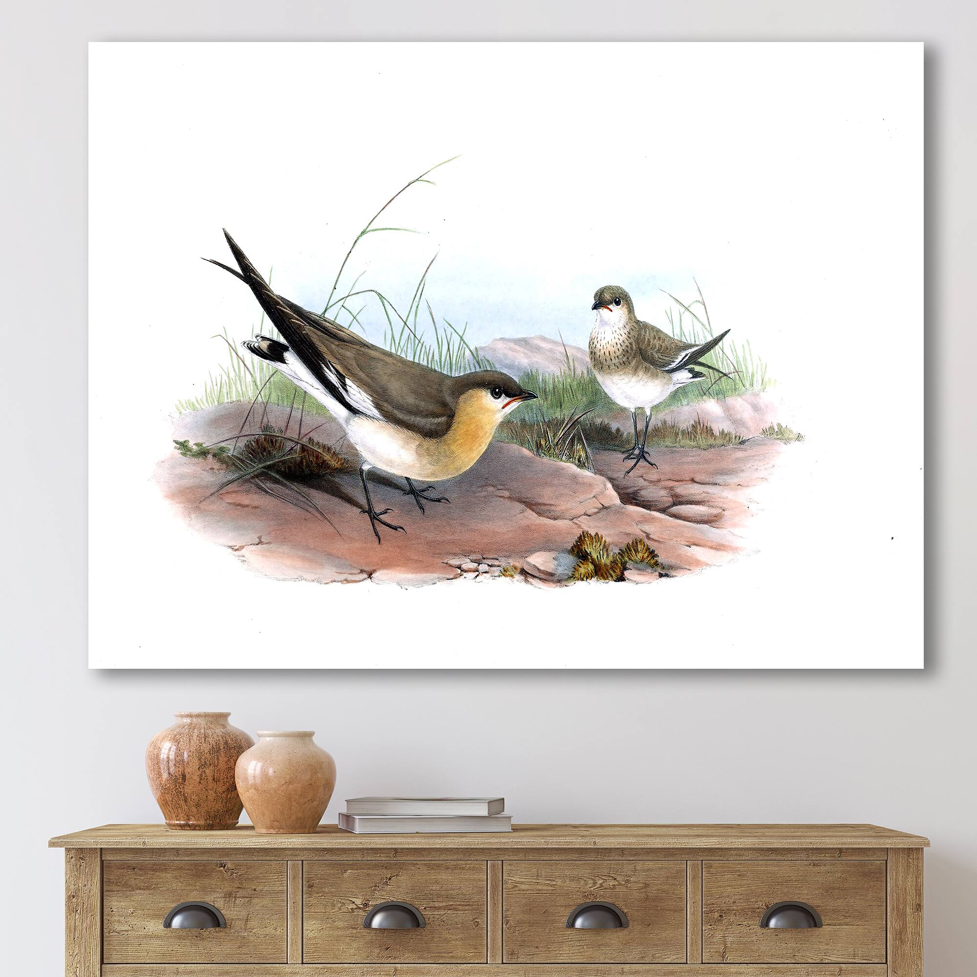 Designart - Vintage Bird Illustration II - Farmhouse Canvas Wall Art Print