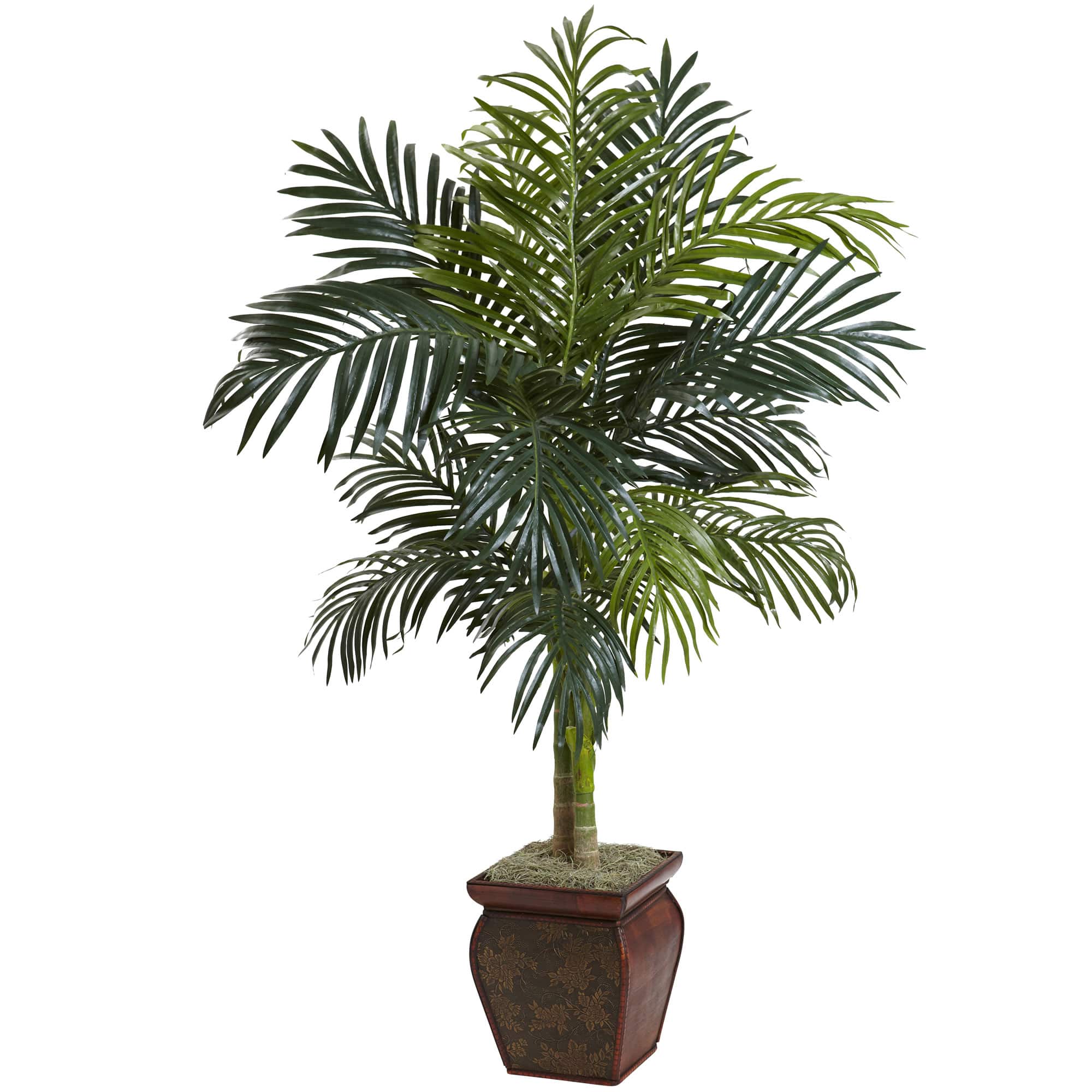 4.5ft. Golden Cane Palm in Decorative Container