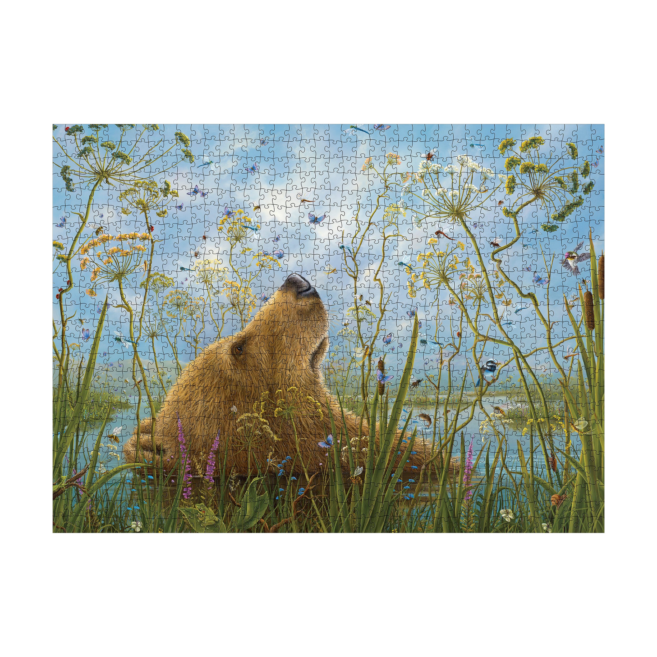 Robert Bissell - The Whole World Puzzle: 1000 Pcs