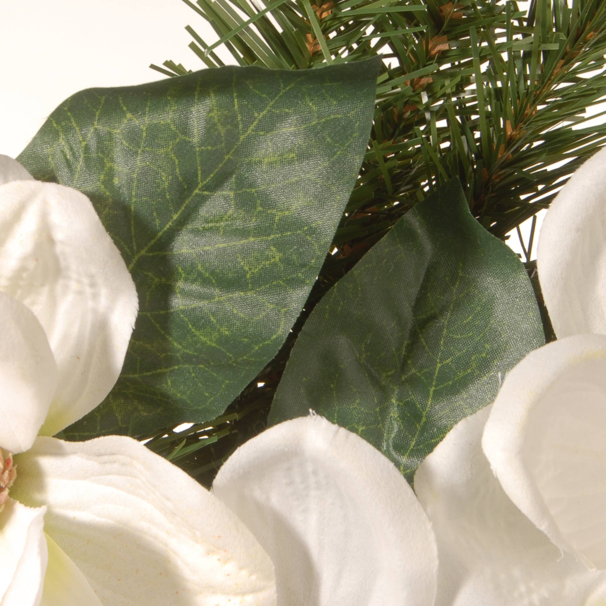 24" North Valley® Spruce Magnolia Wreath