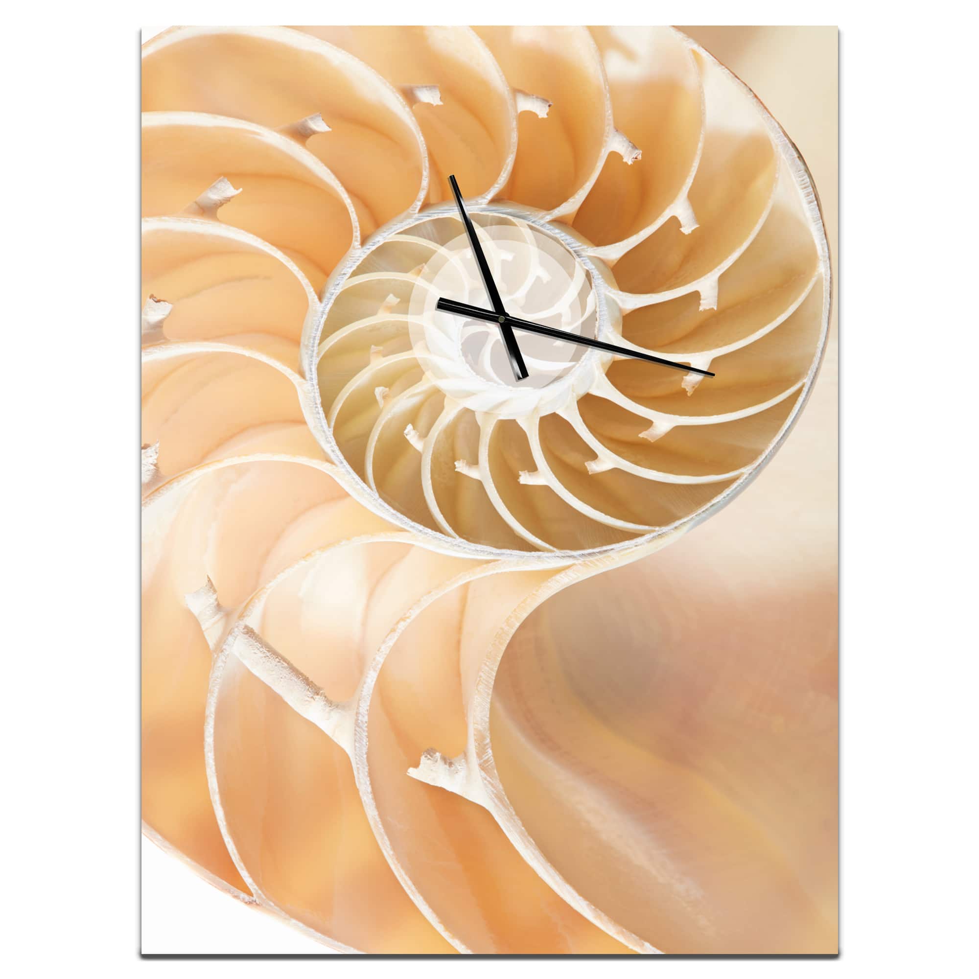 Designart Brown Nautilus Shell Pattern Wall Clock