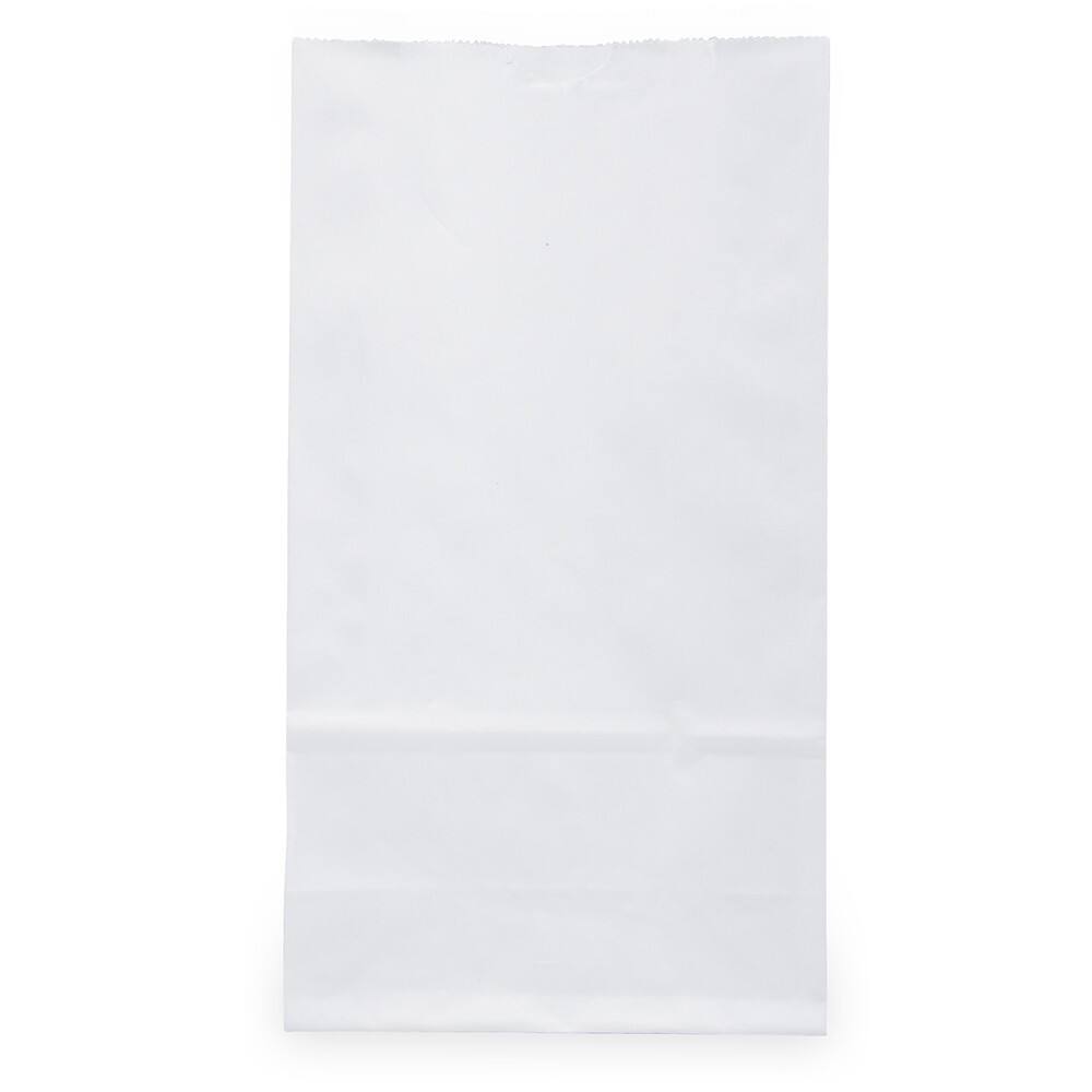 JAM Paper White Small Plus Kraft Lunch Bags, 500ct.