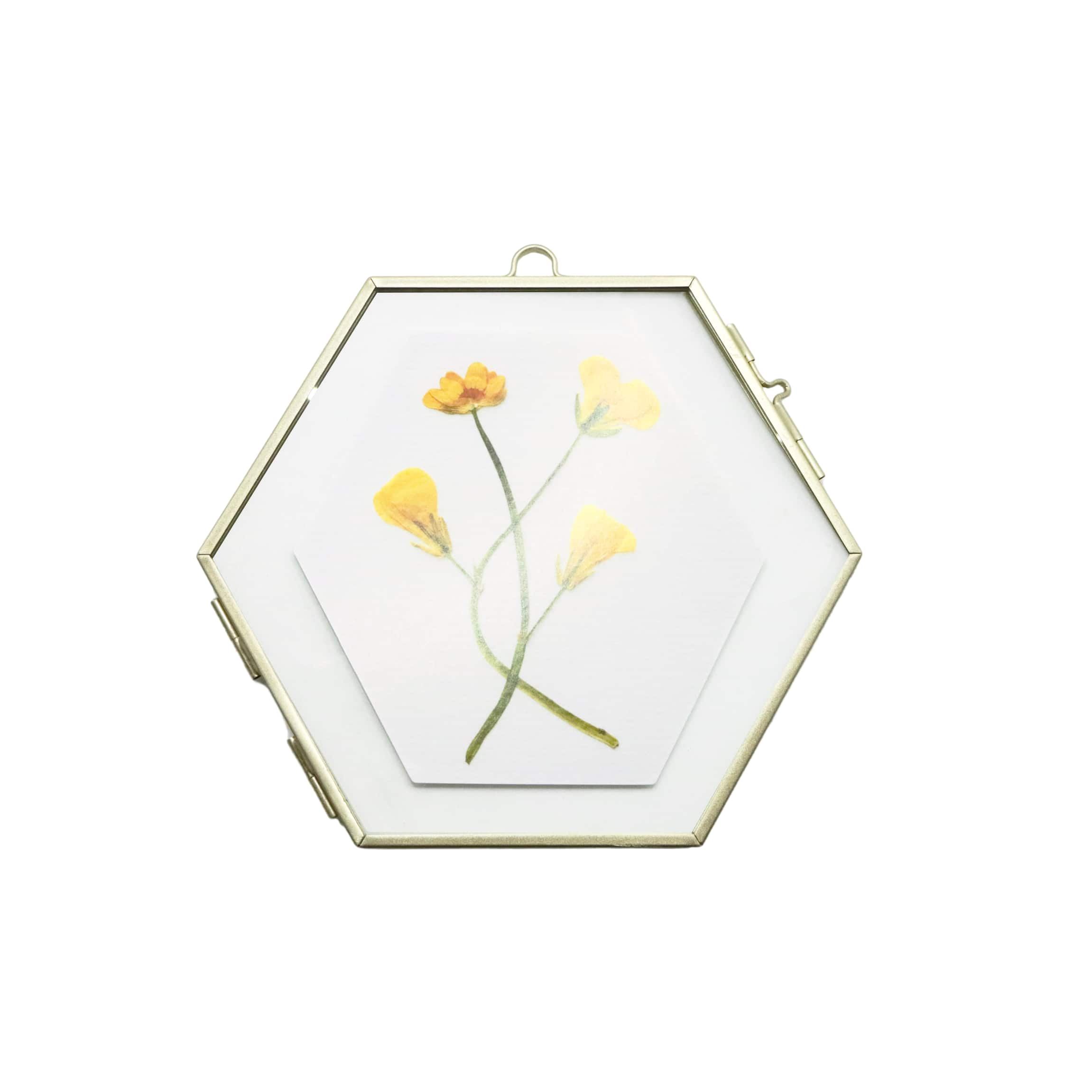 Gold Metallic 6&#x22; x 6&#x22; Hexagonal Glass Frame by Ashland&#xAE;