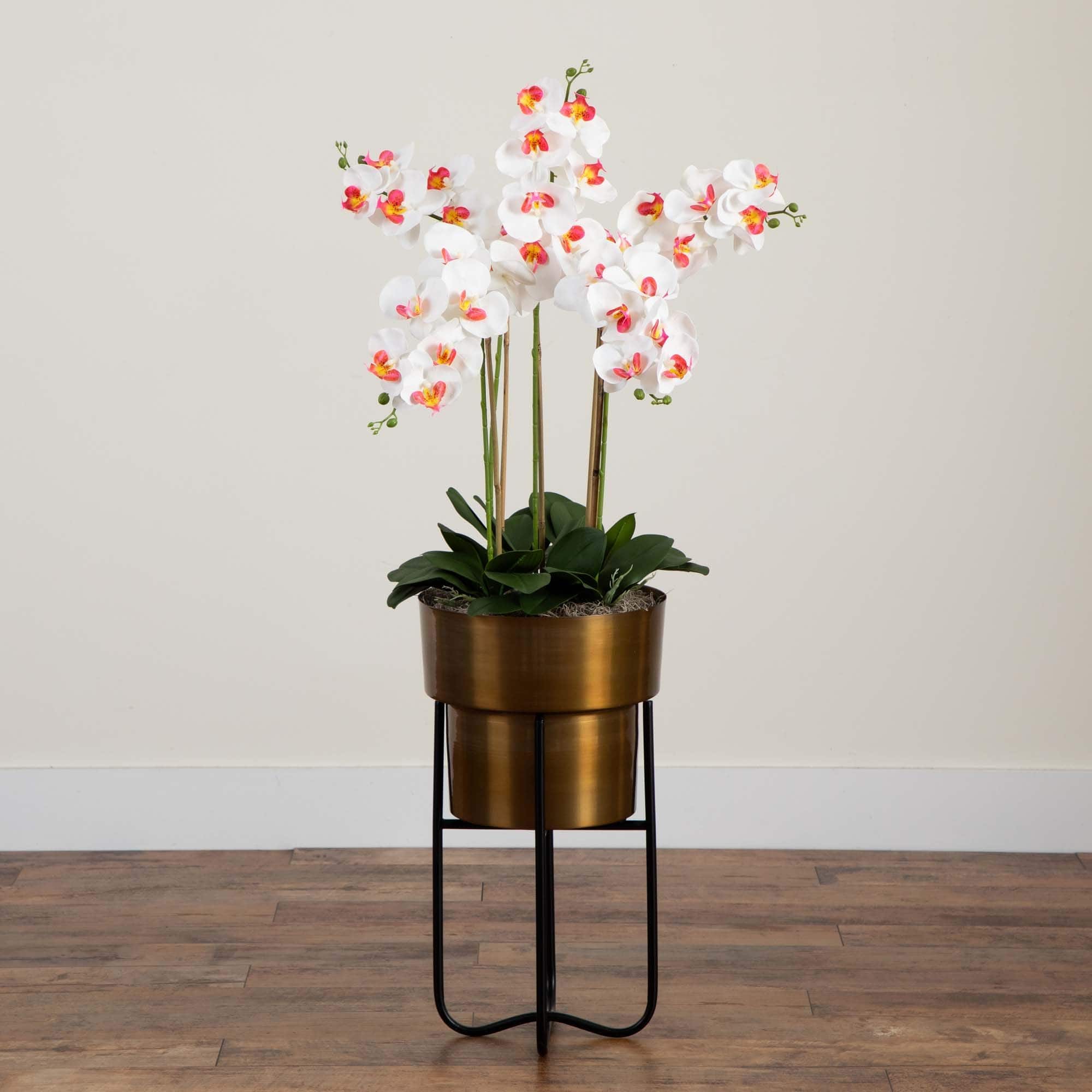 4ft. White Orchid Arrangement in Brass Metal Planter with Stand