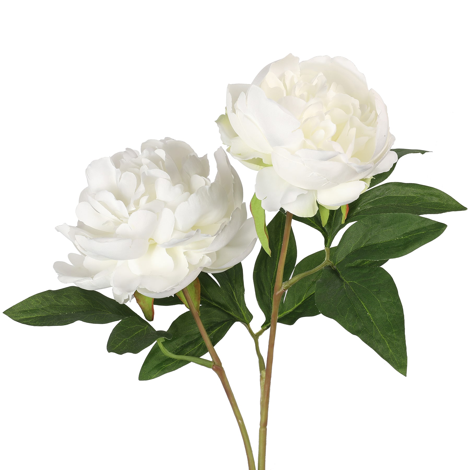 28&#x22; Peony Stem by Ashland&#xAE;