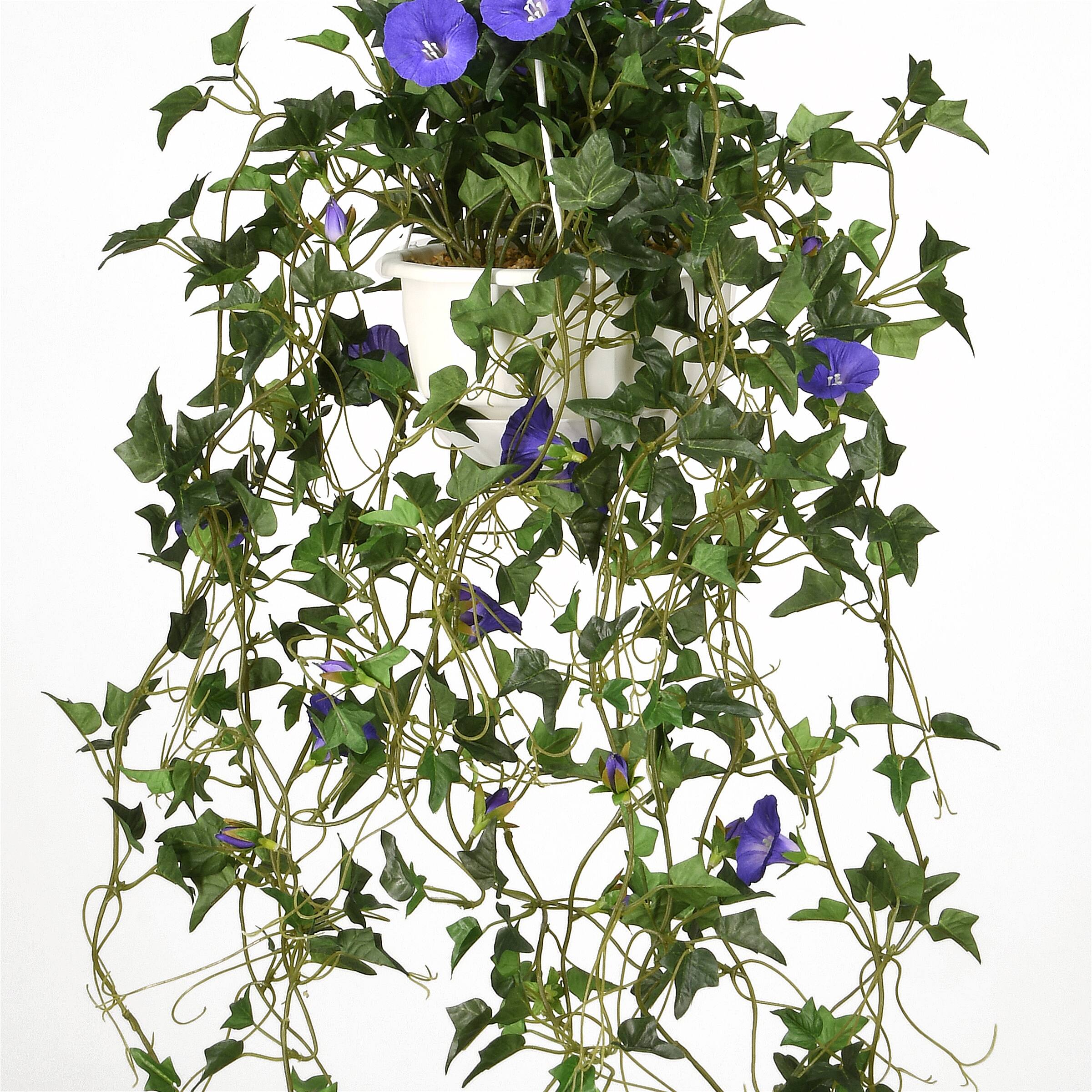 3.5ft. Purple Morning Glory Hanging Plant