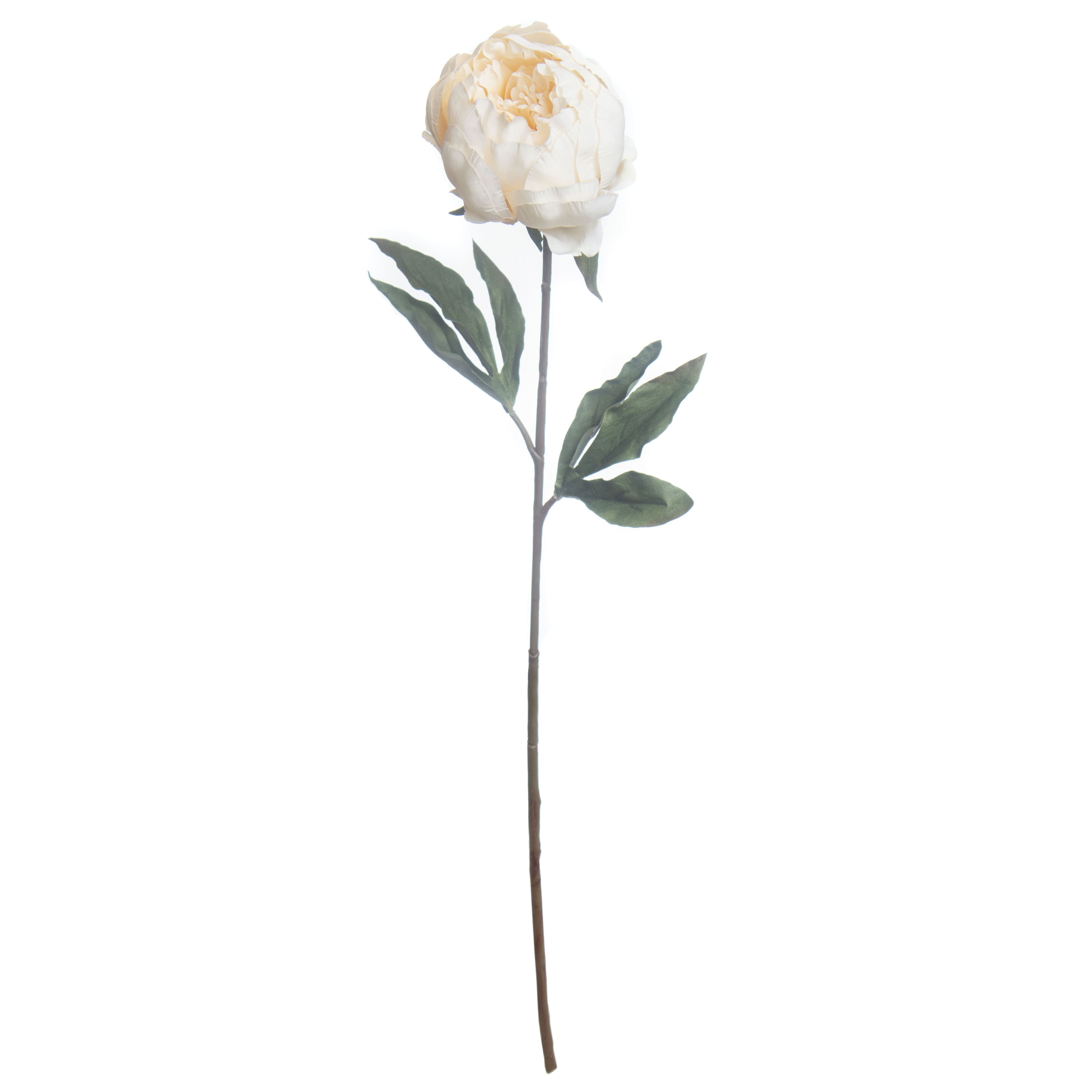 27&#x22; Cream Peony Stem by Ashland&#xAE; Fall