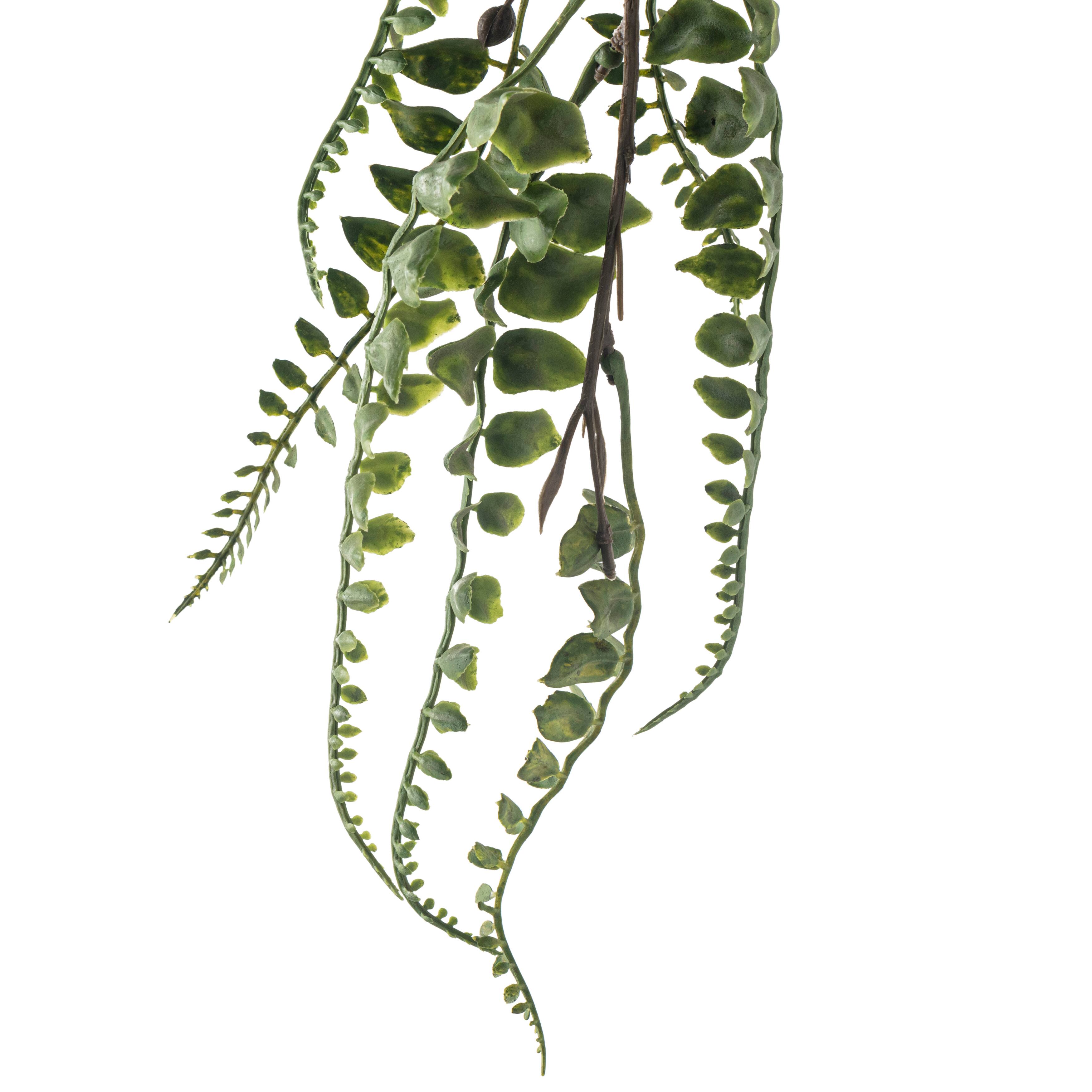 12 Pack: Green Fern Leaf Spray by Ashland&#xAE;