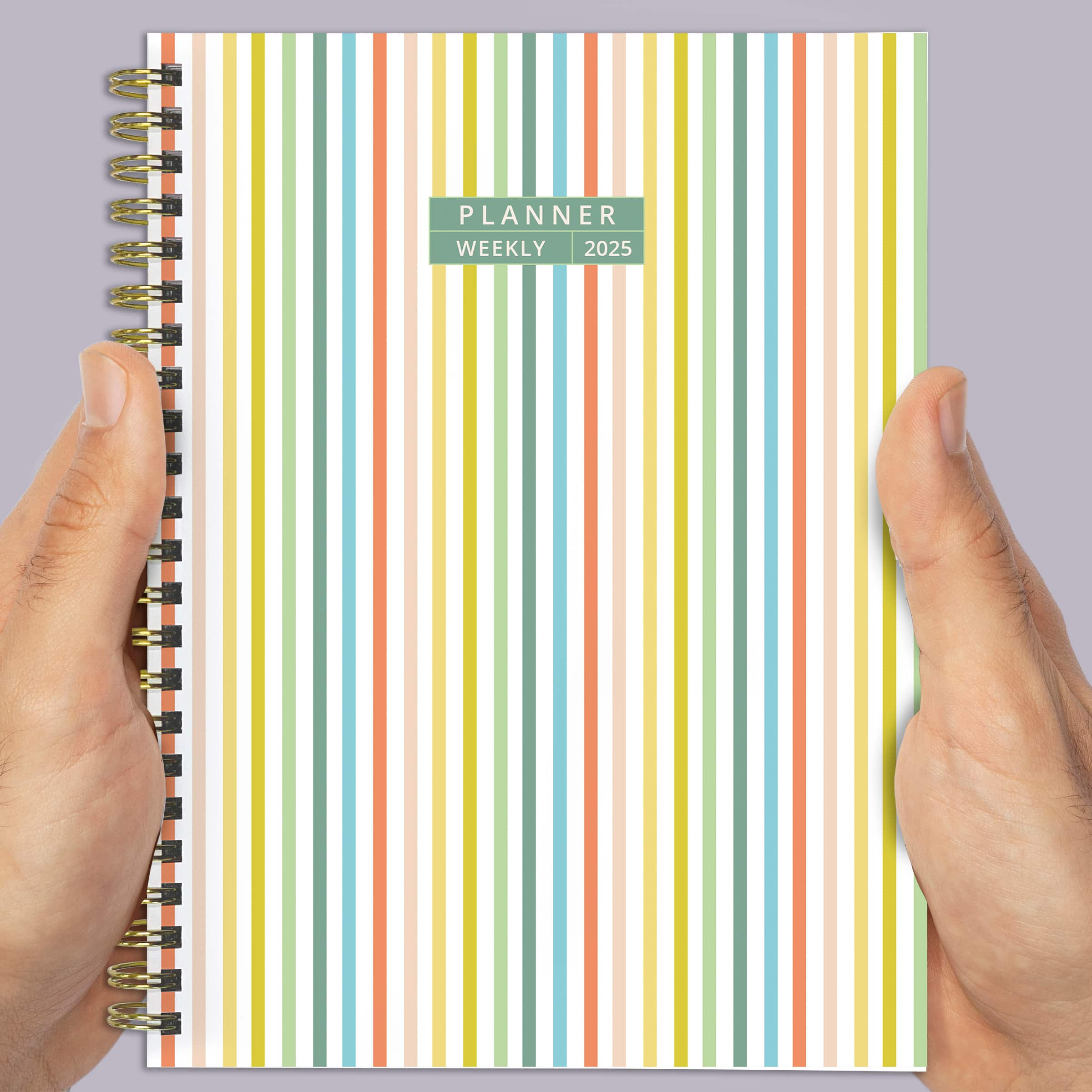 TF Publishing 2025 Medium Malibu Stripes Weekly Monthly Spiral Planner