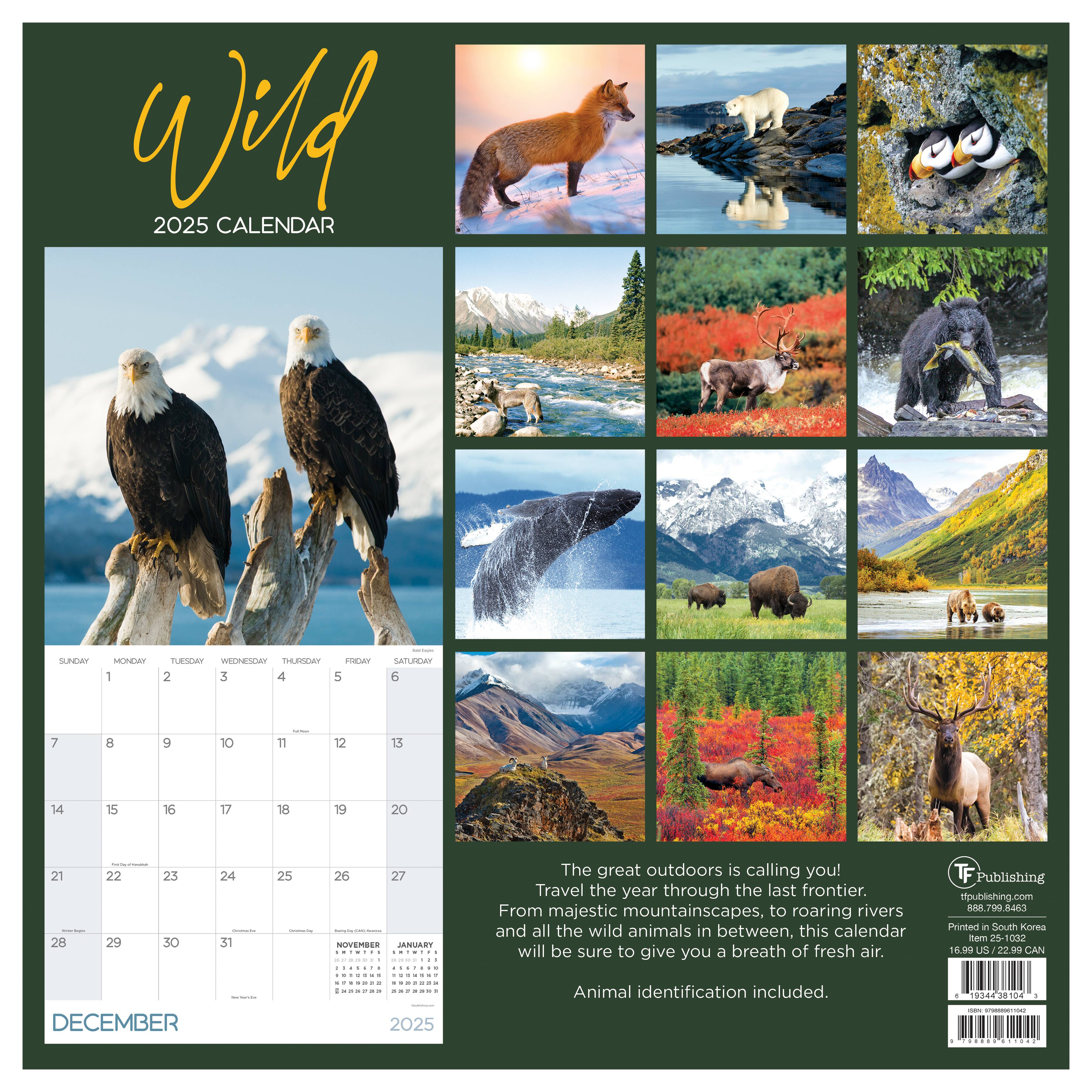 TF Publishing 2025 Wild Wall Calendar