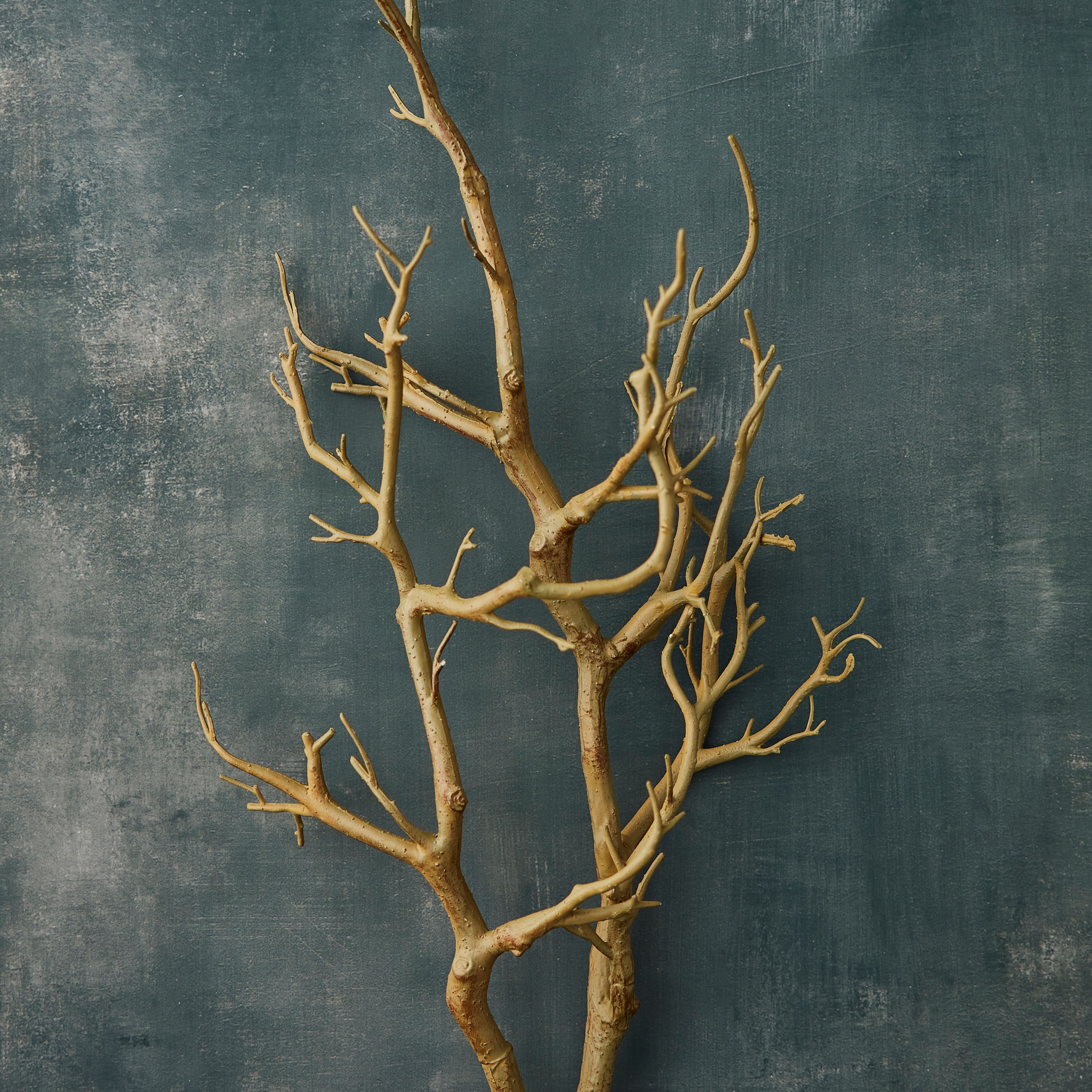 Birch Branches, L: 50-60 cm, 20 pc