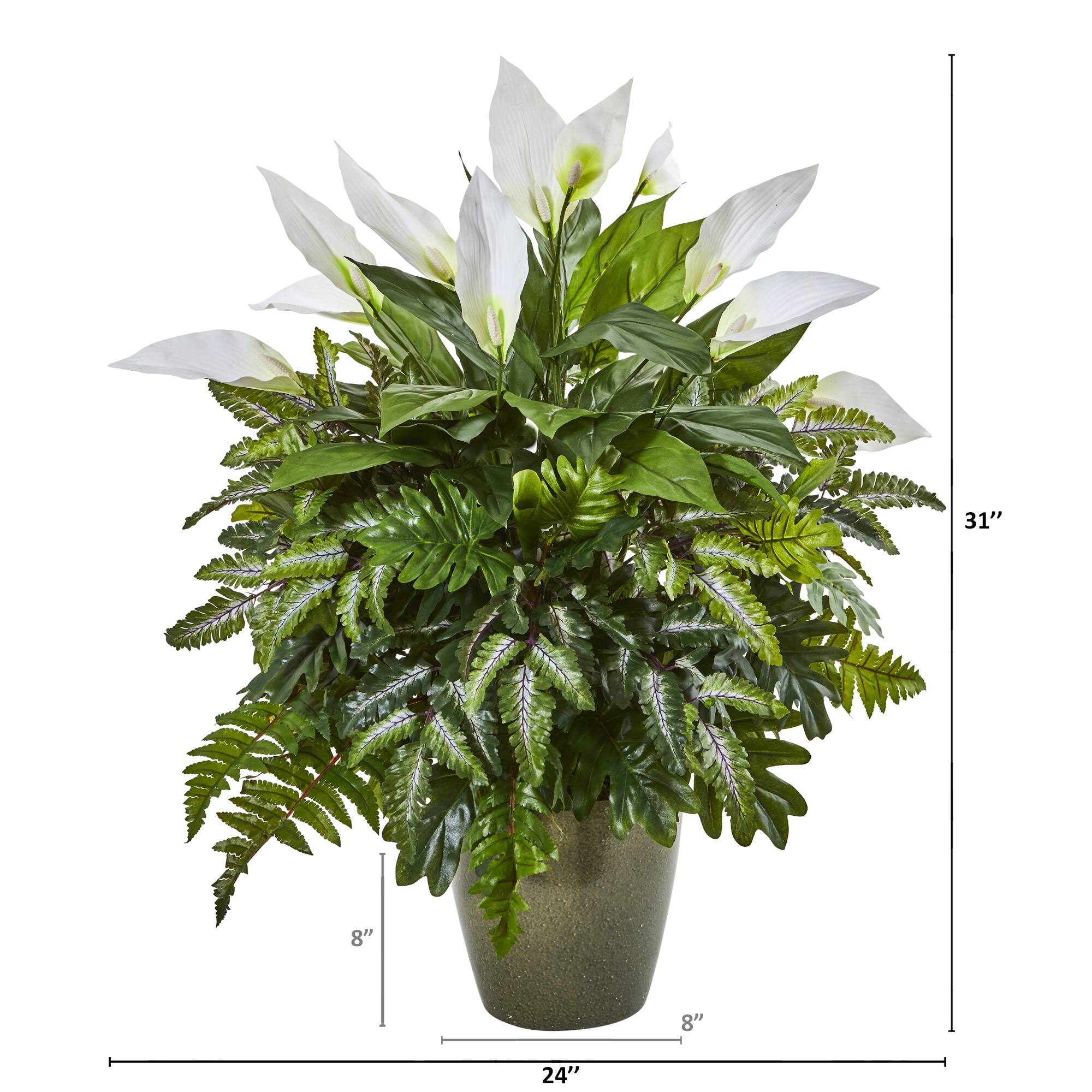 2.5ft. Mixed Peace Lily in Green Planter