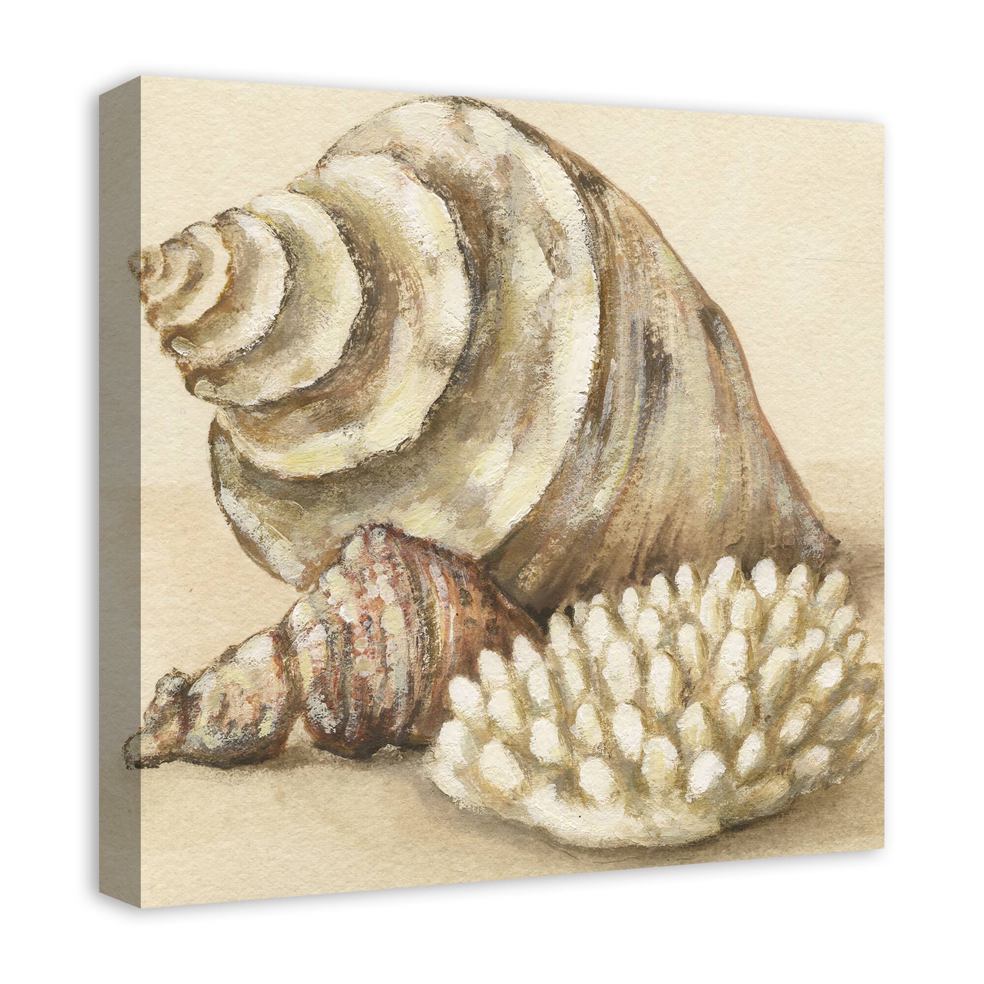 Conch And Sea Shells 20" x 20" Canvas Wall Art