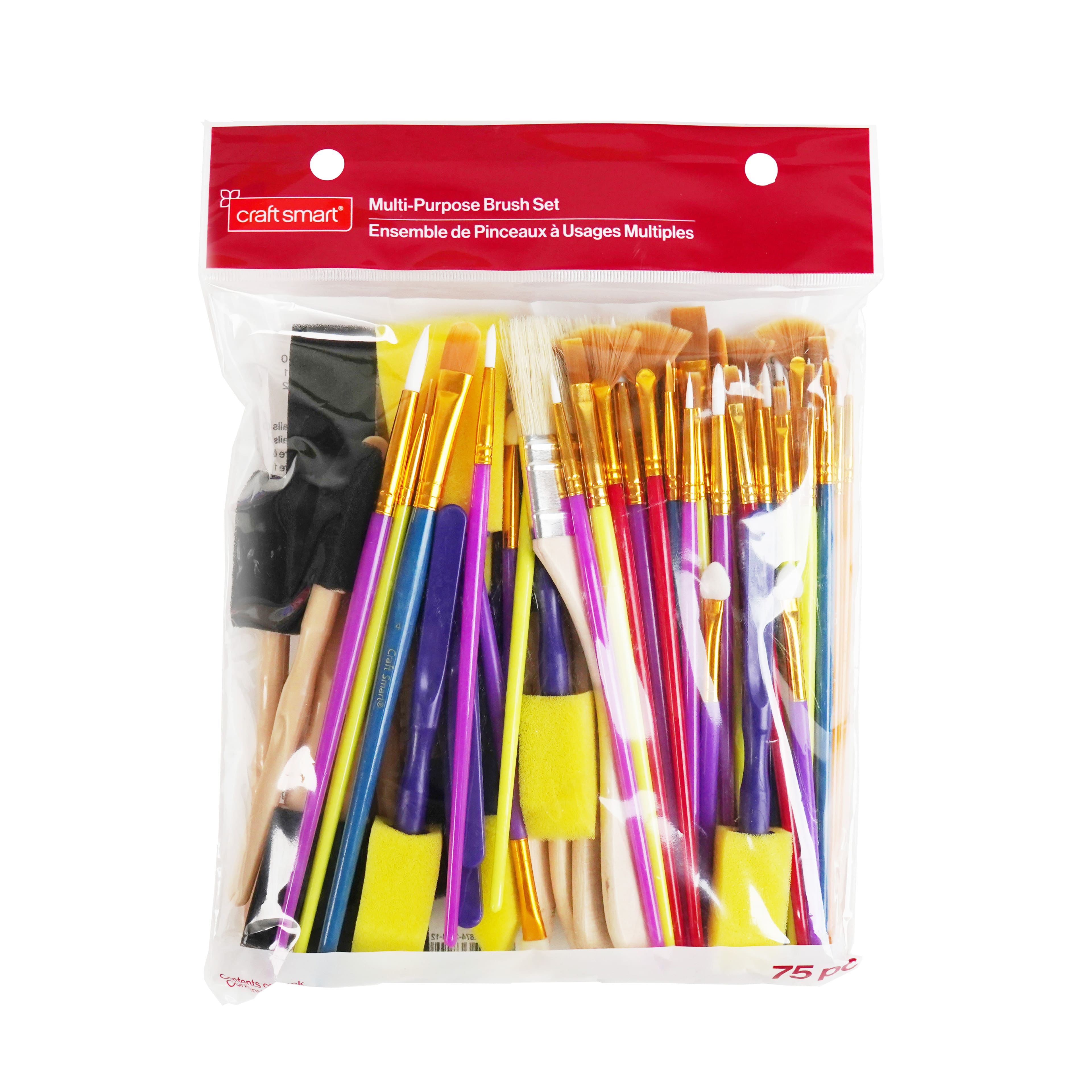 Multi-Purpose 75 Piece Brush Set by Craft Smart&#xAE;