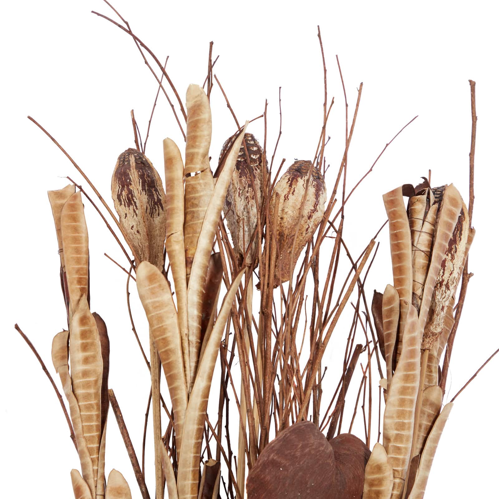 Set of 2&#x22; Brown Sea Grass Natural Foliage, 46&#x22; x 15&#x22;