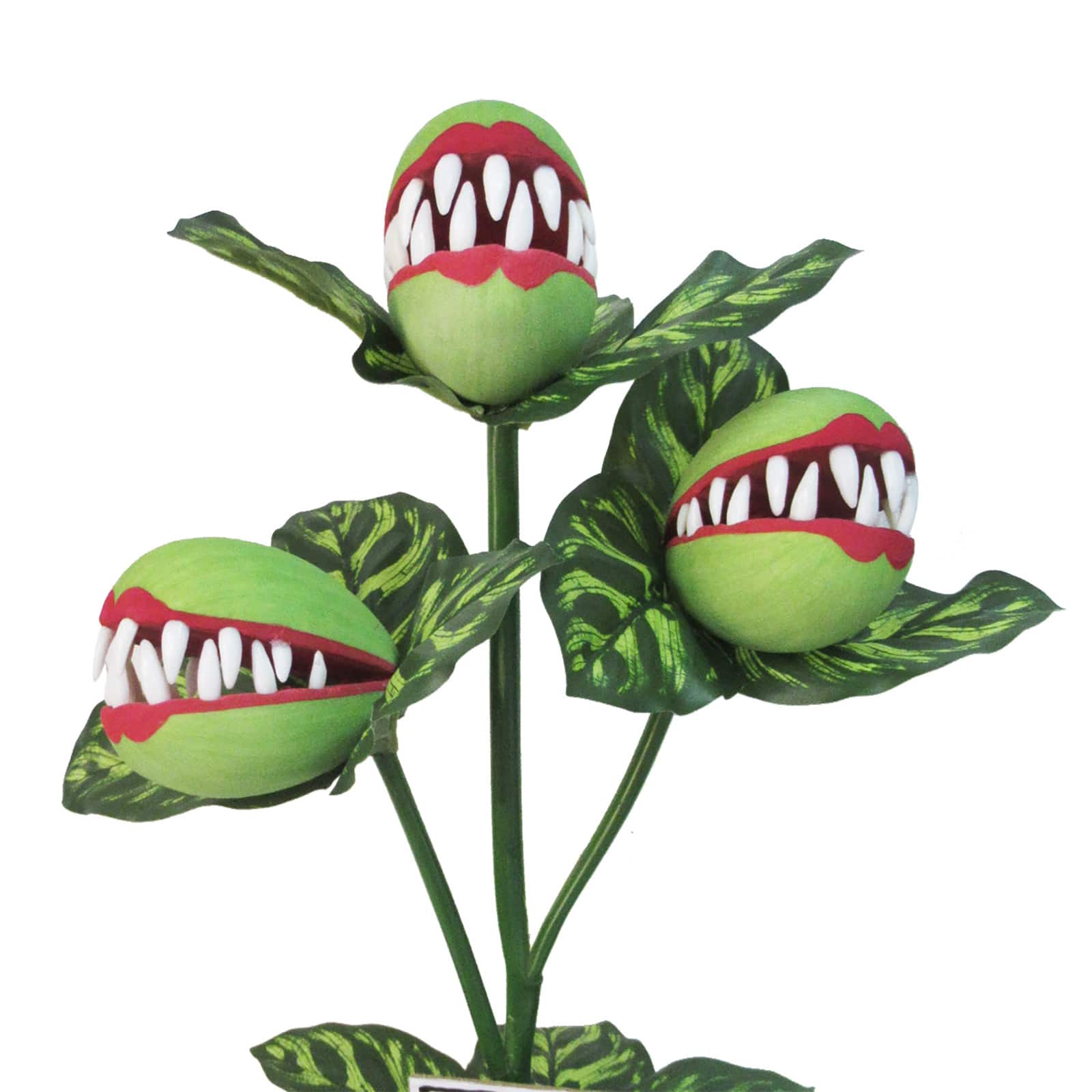 23&#x22; Potted Venus Flytrap with Feed Me Sign by Ashland&#xAE;