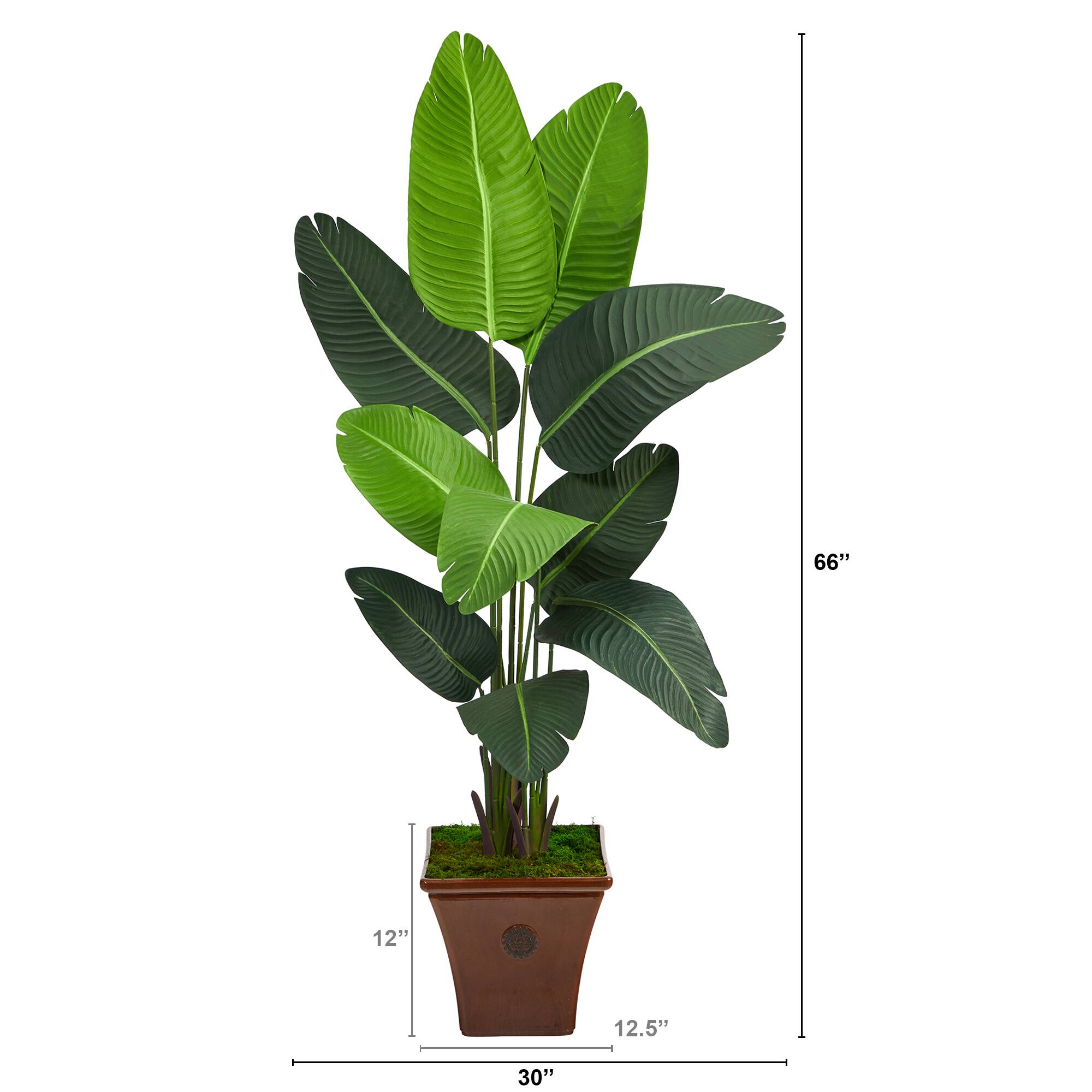 5.5ft. Travelers Palm Artificial Tree in Brown Planter