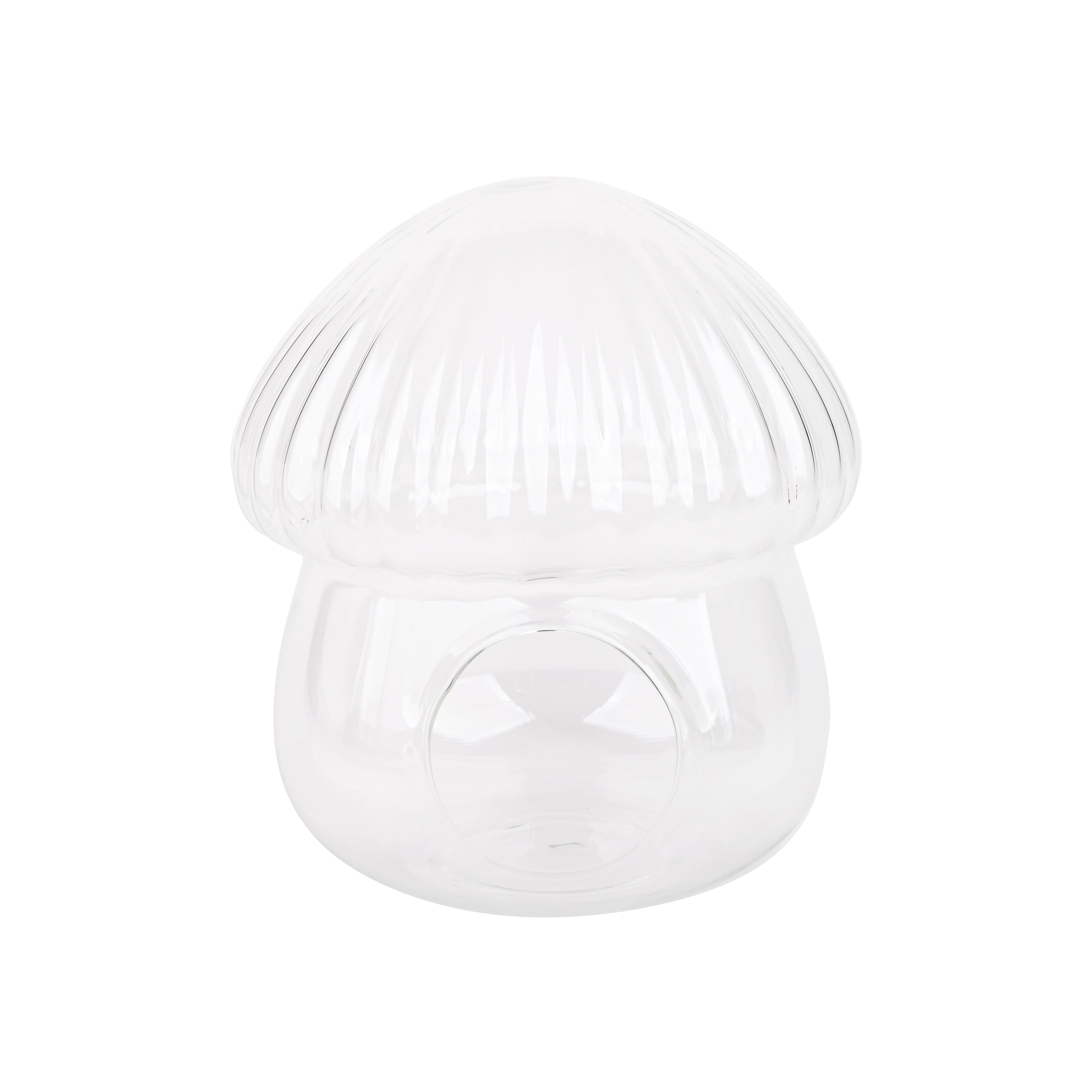 7&#x22; Glass Mushroom Terrarium by Ashland&#xAE;