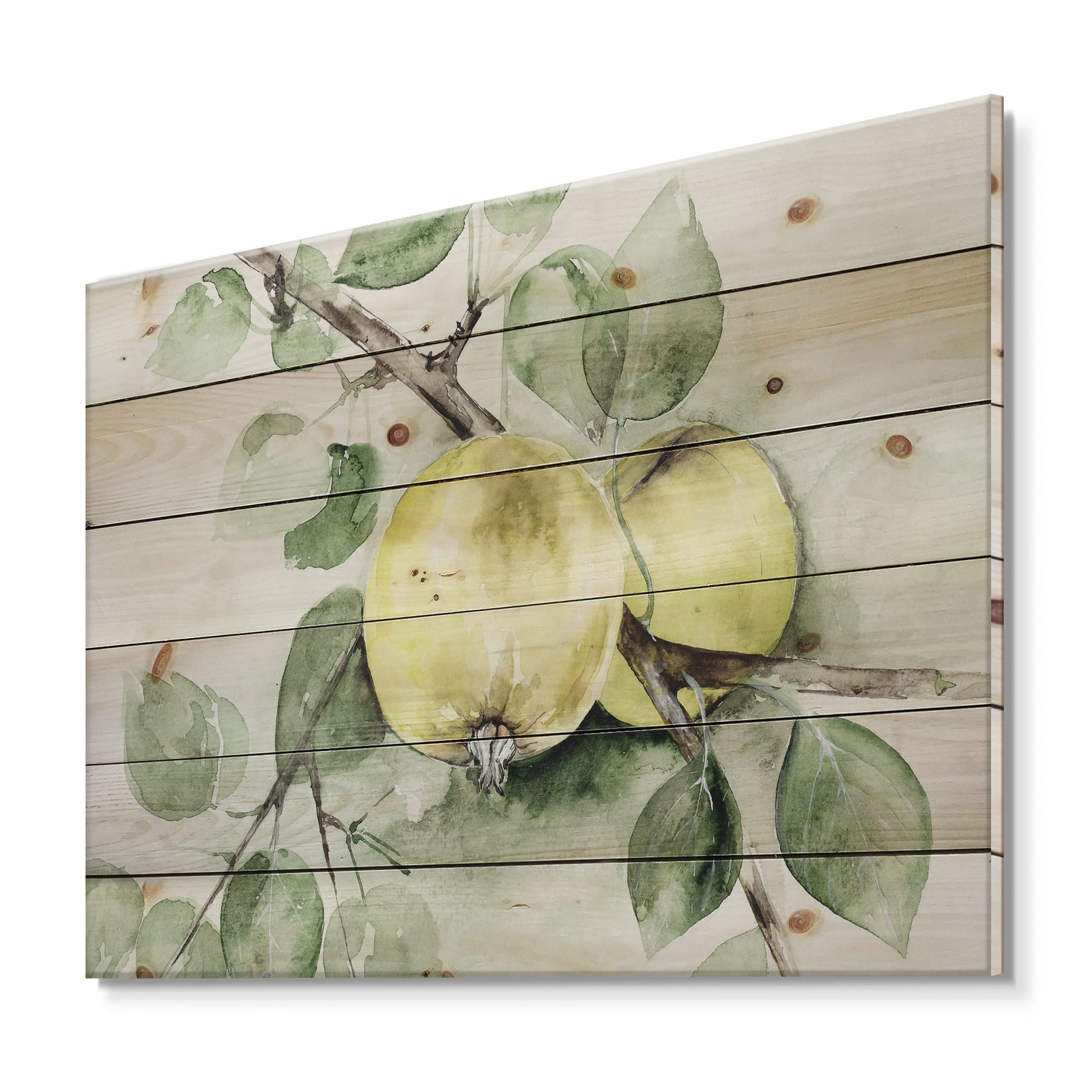 Designart - Vintage Green Appels - Farmhouse Print on Natural Pine Wood