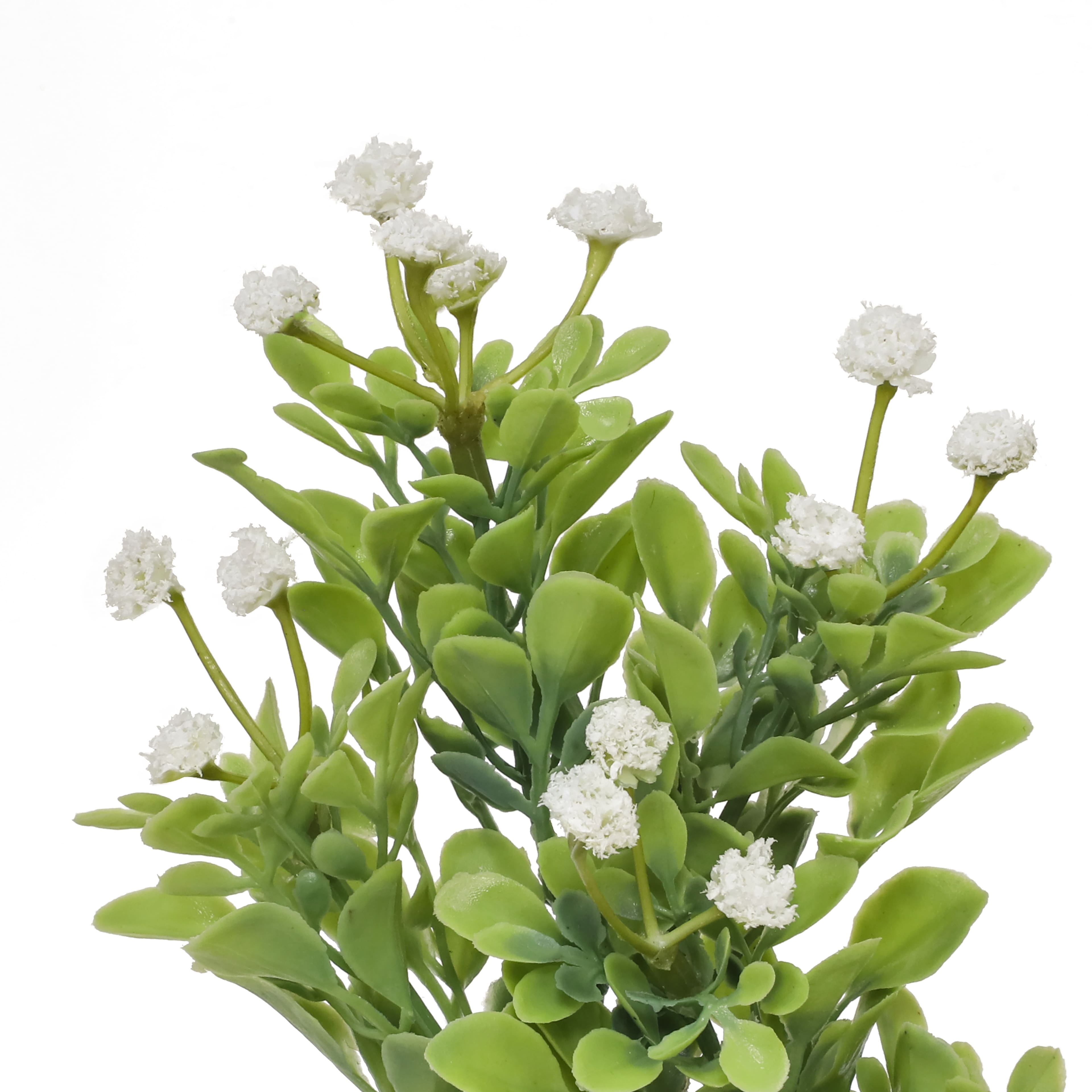 19&#x22; Cream Baby&#x27;s Breath &#x26; Boxwood Bush by Ashland&#xAE;