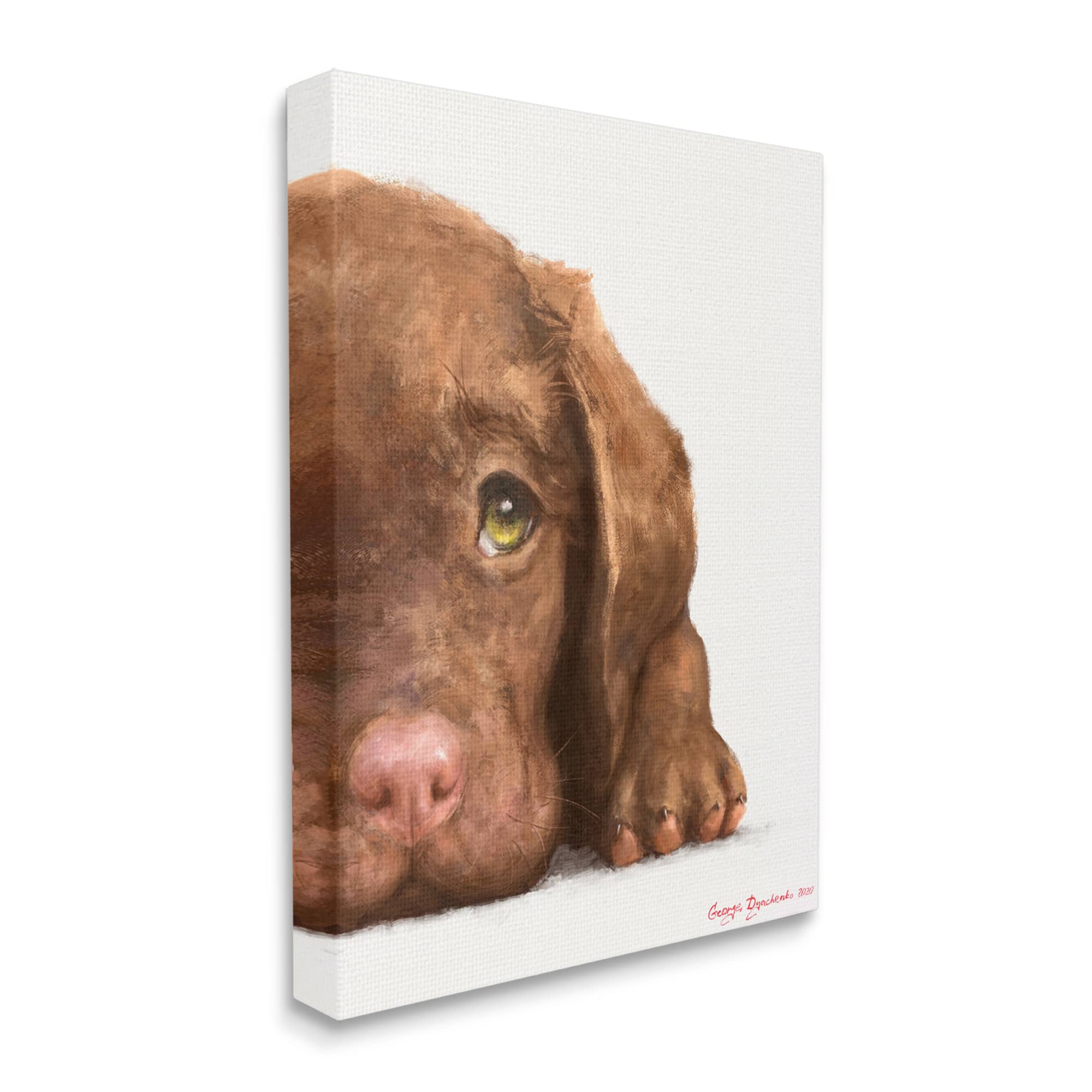 Stupell Industries Chocolate Labrador Puppy Resting Adorable Dog Portrait  Canvas Wall Art