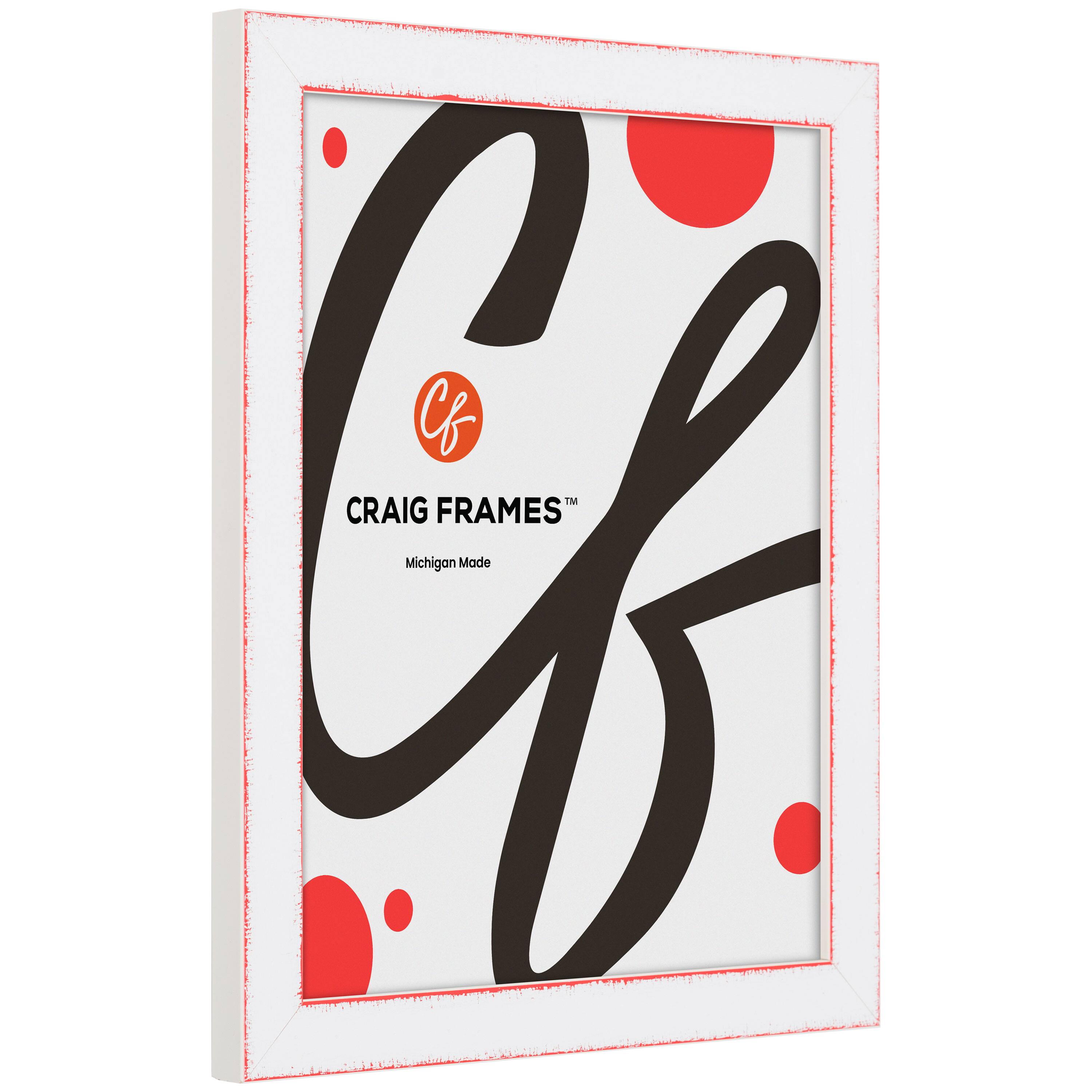 Craig Frames Slushie Strawberry Red Picture Frame | 20 x 26 | Michaels