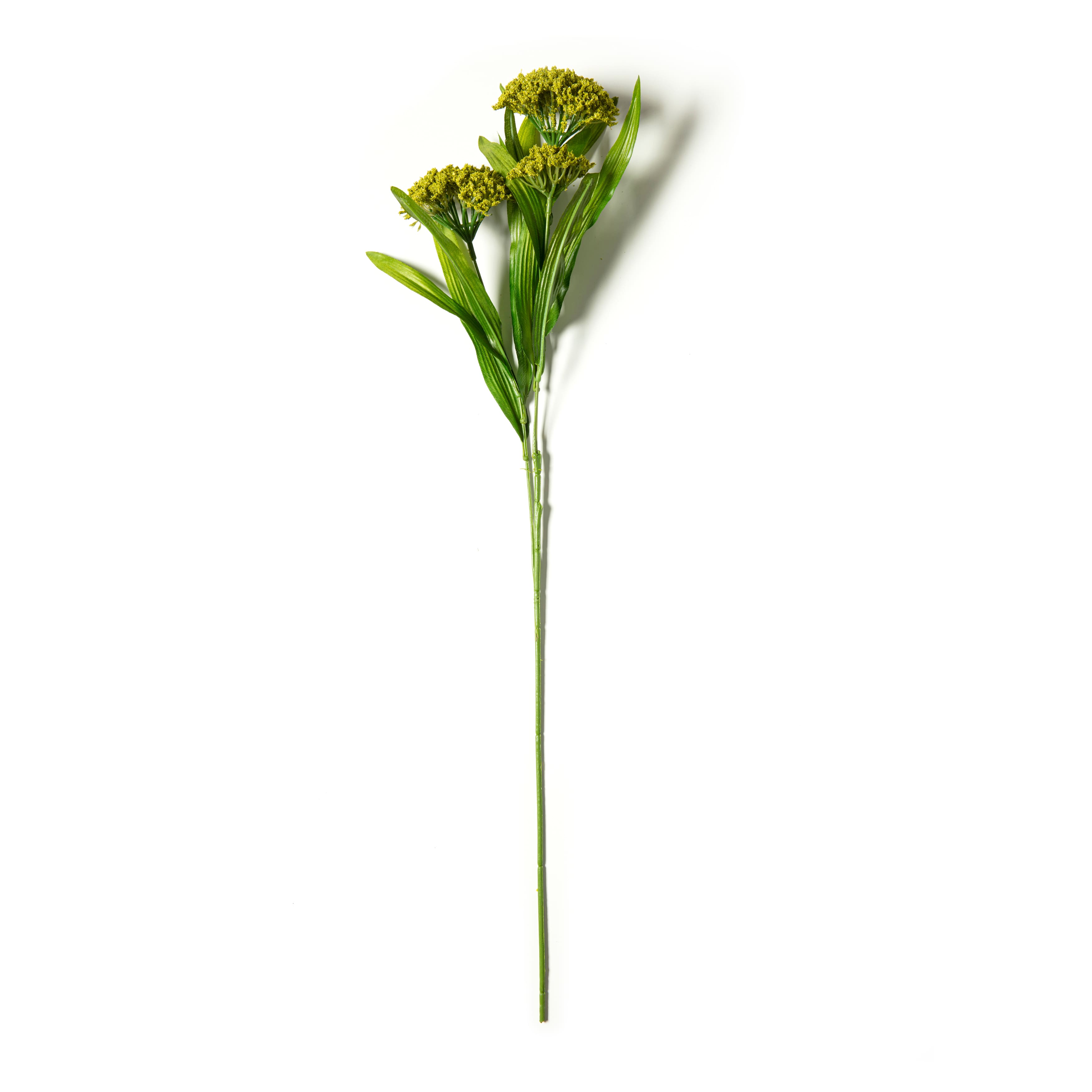 Green Queen Anne&#x27;s Lace Stem by Ashland&#xAE;